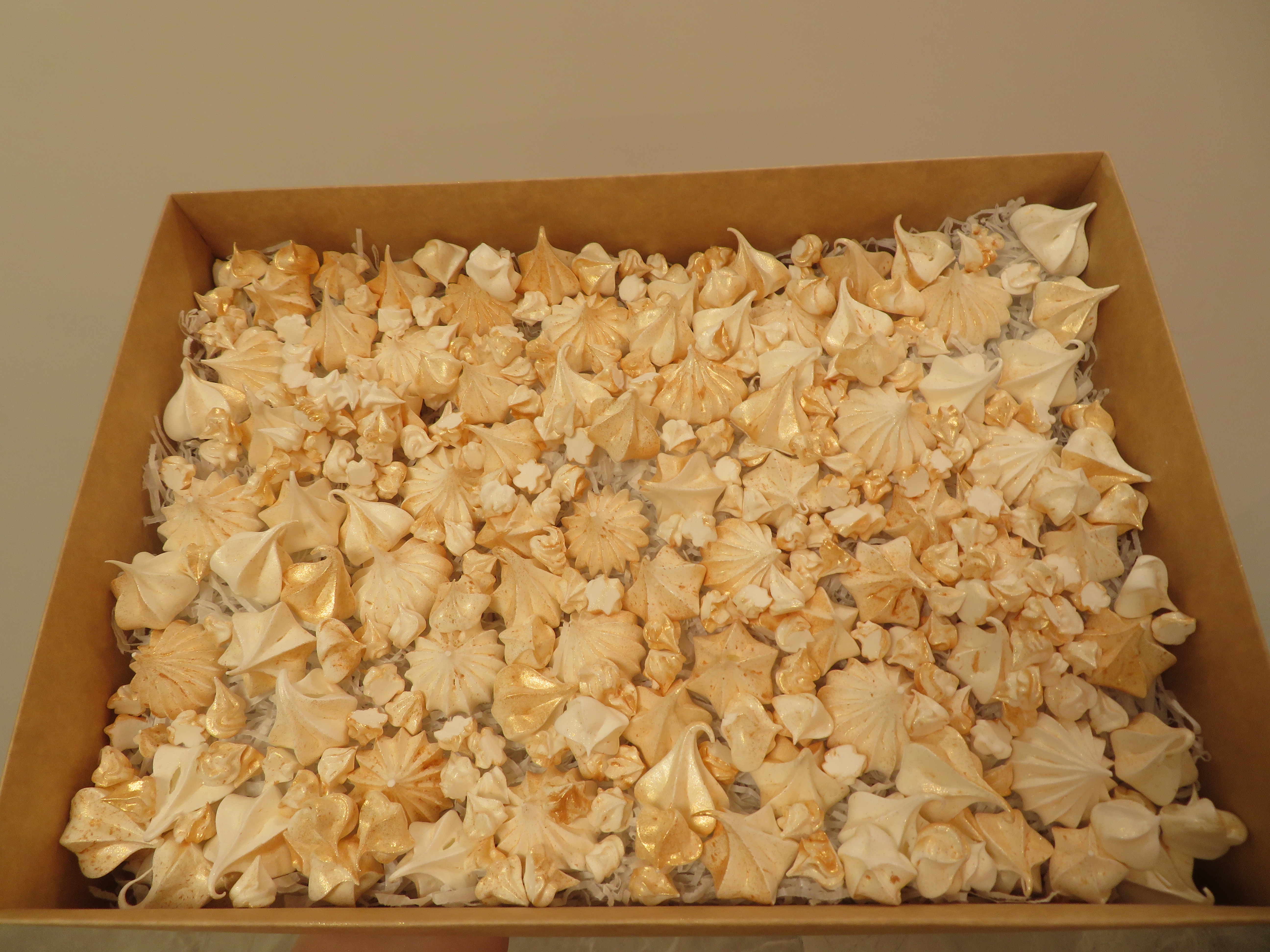 נשיקות צבעוניות.JPG