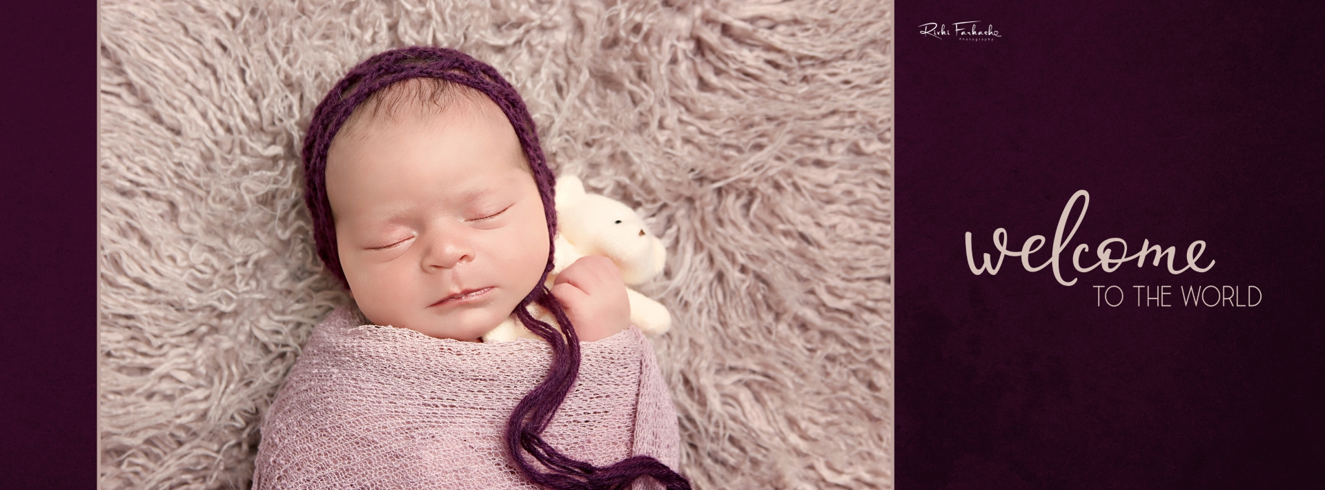 סגול דובי copy (Large).jpg