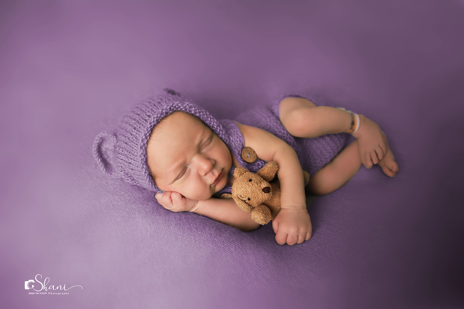 סגול מוקטן.jpg