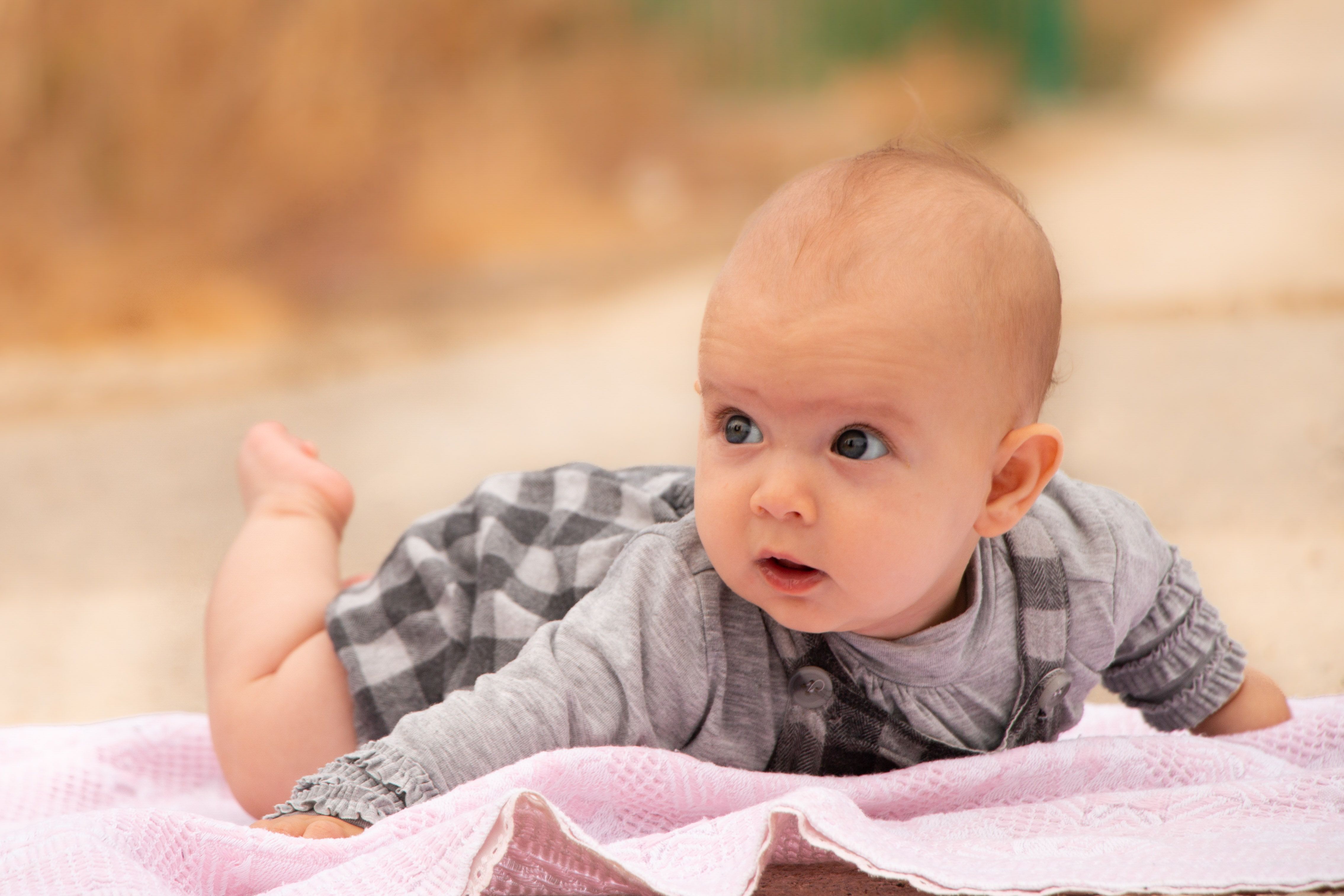 סוכות (155)-2.JPG