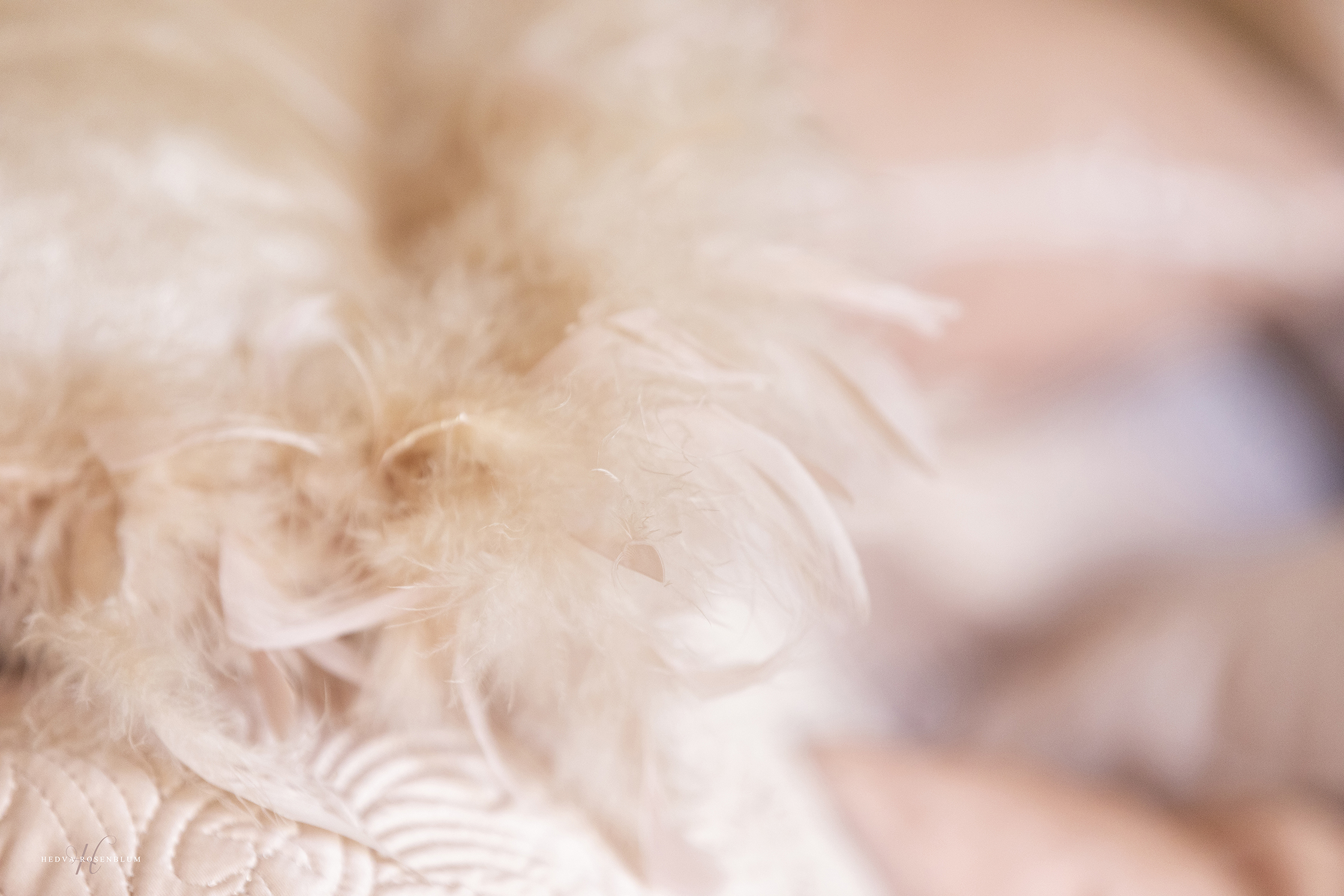 סטודיו SHE (5).jpg