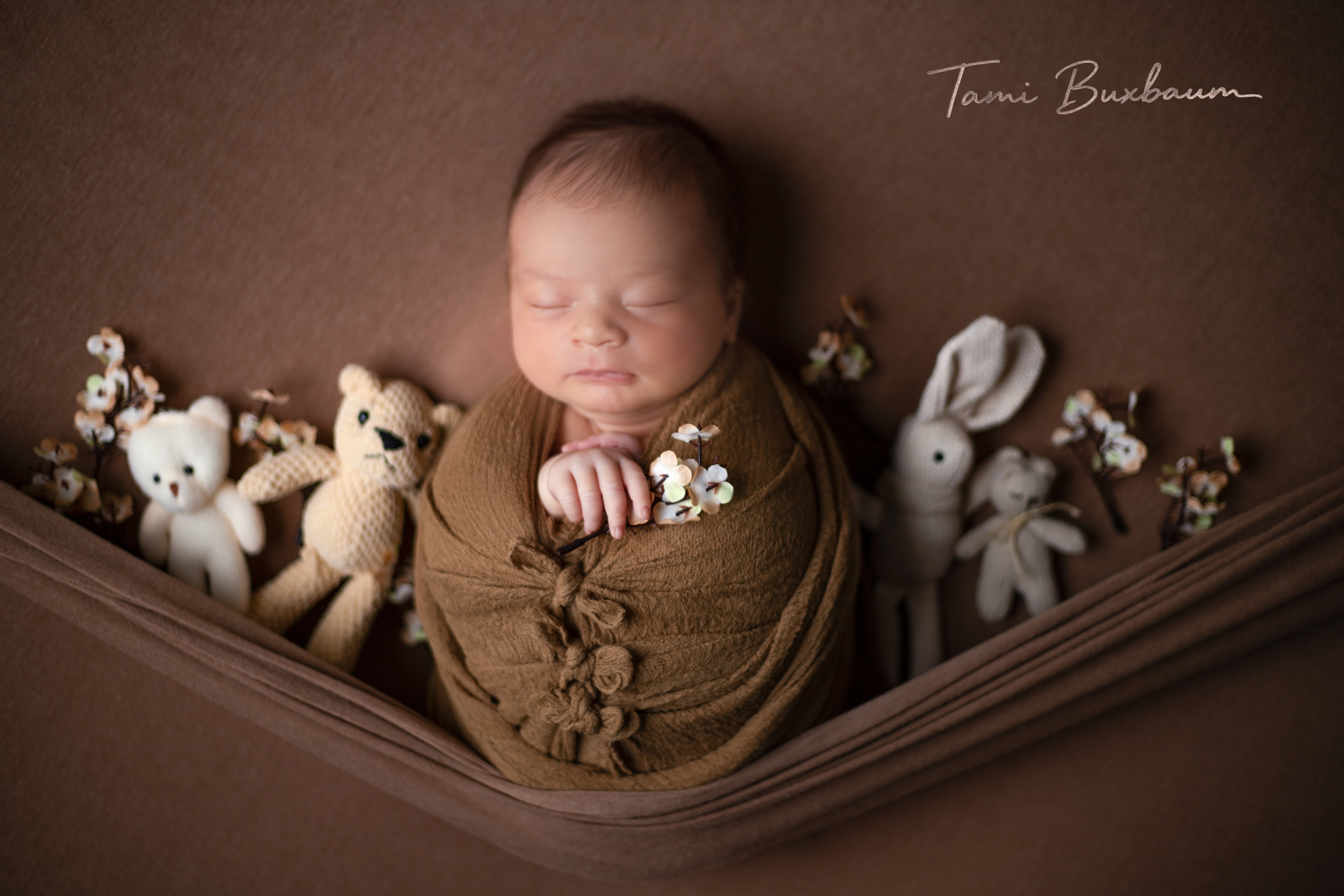 סט נדנדה חום