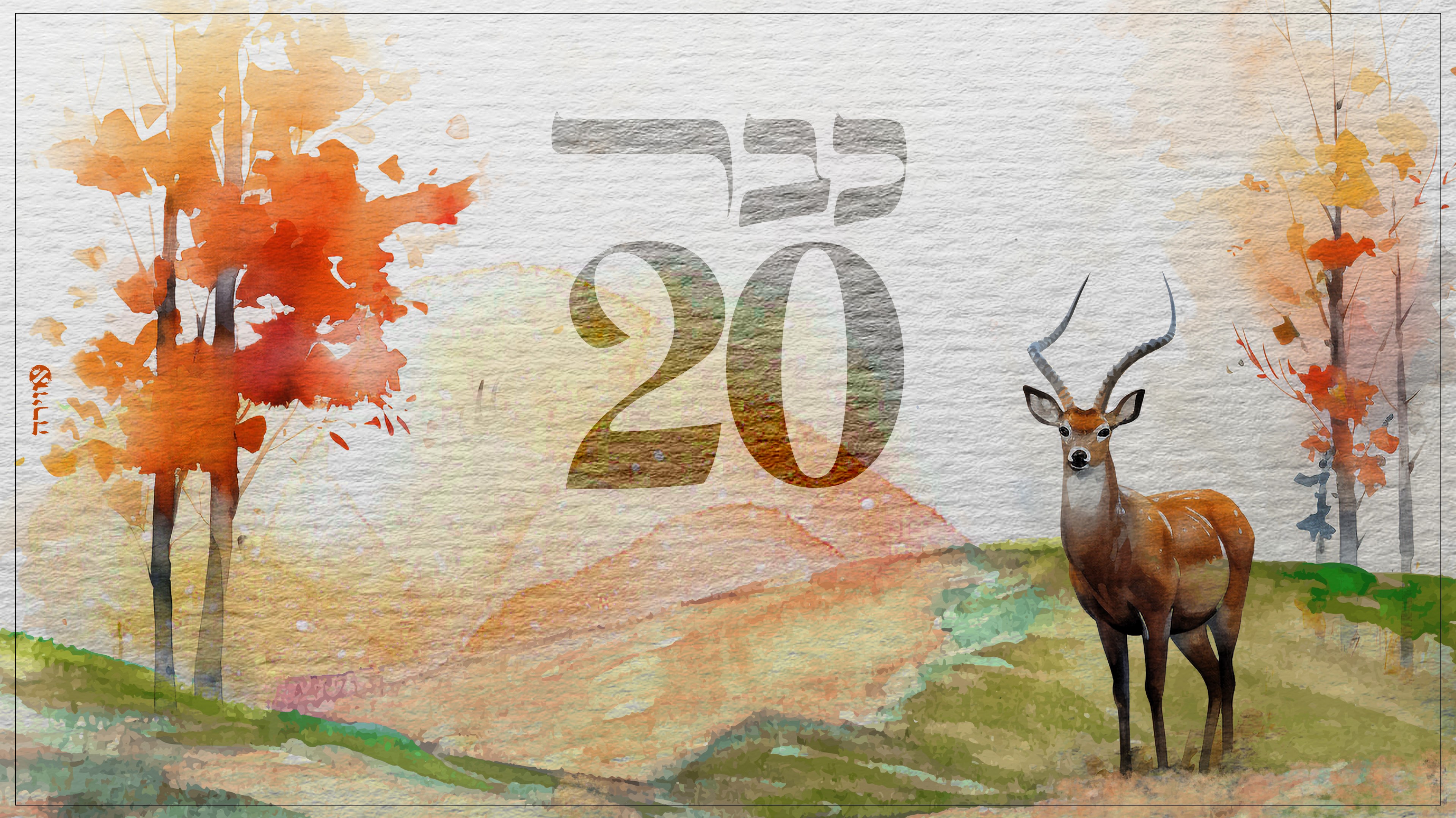 סינגל כבר עשרים.jpg