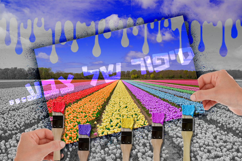 סיפור של צבע.png