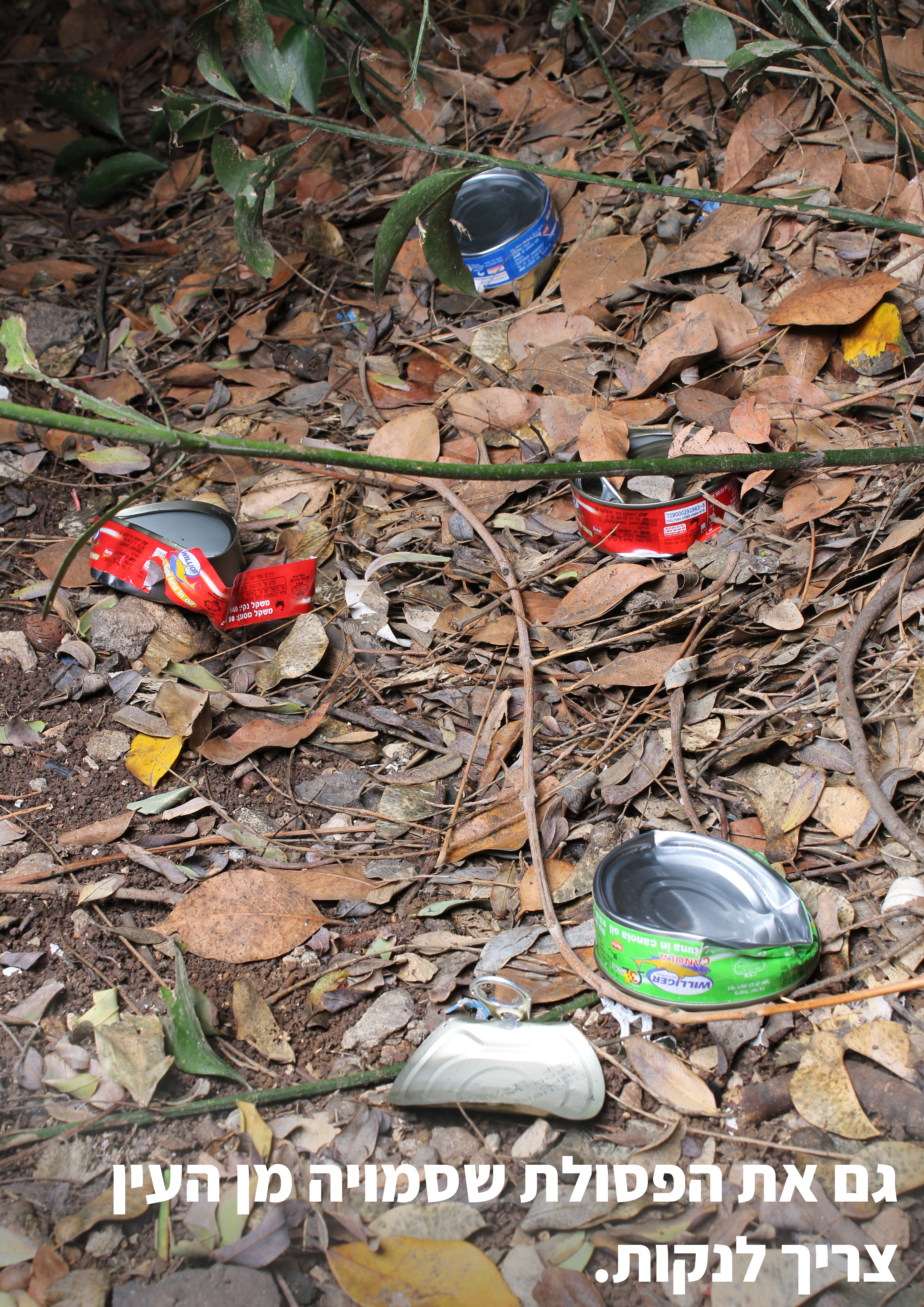 סמוי מן העין.jpg