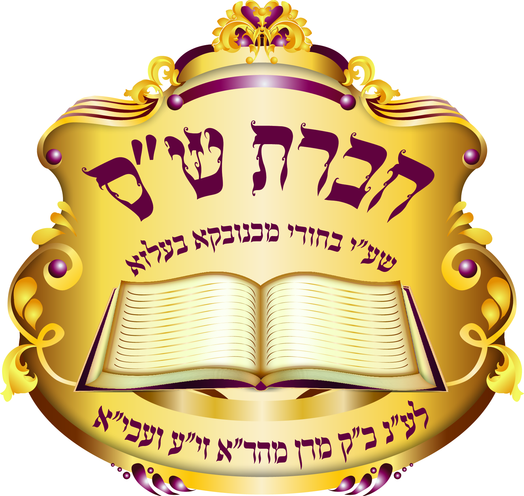 סמל חברת שס סופי