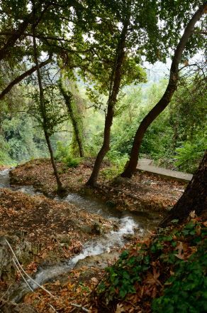 סע בסיבוב.JPG