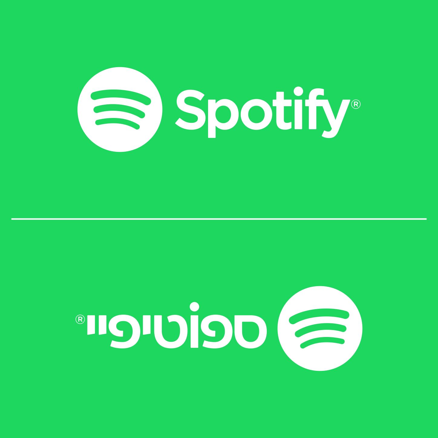 ספוטיפיי קטן.jpg