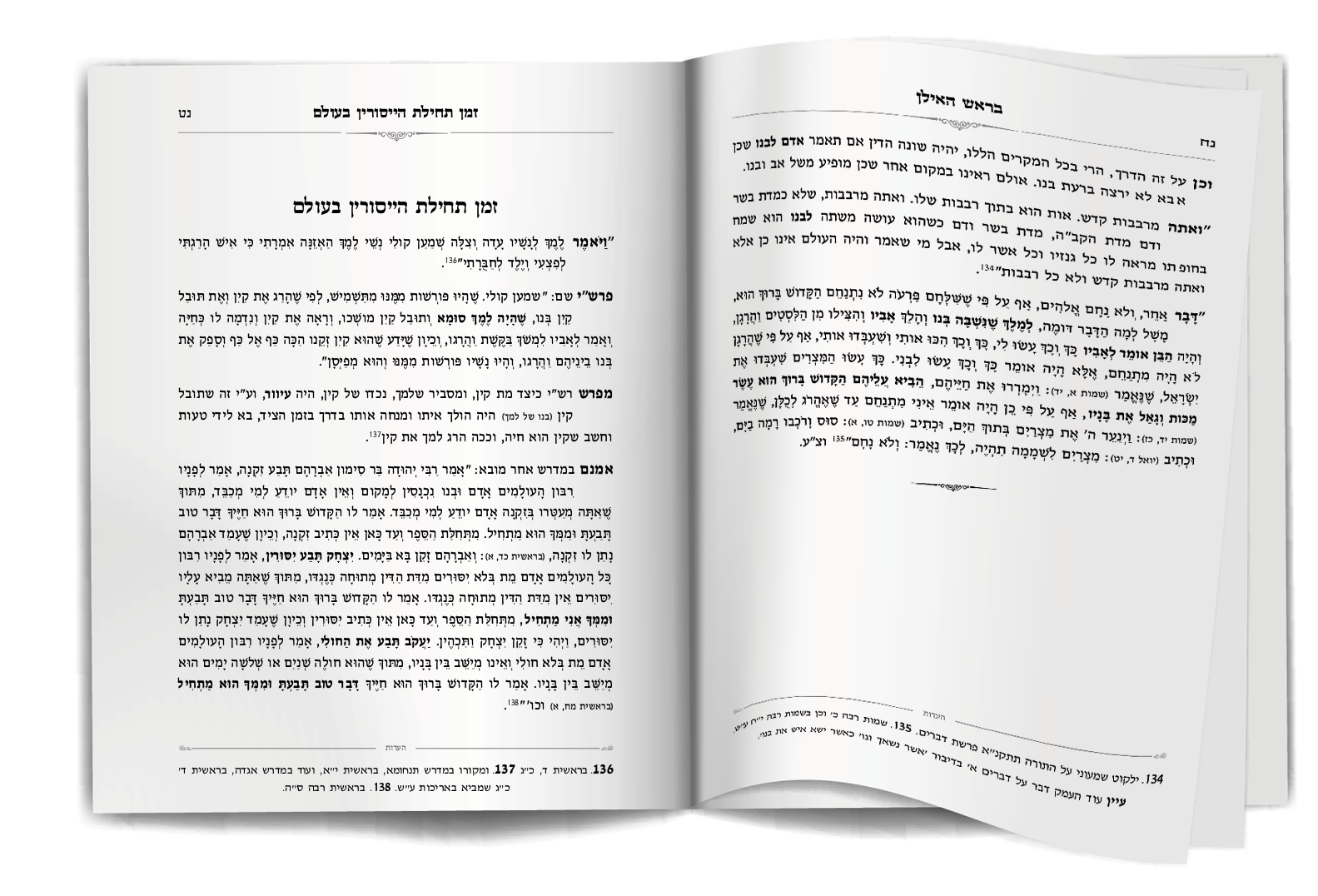 ספר בראש האילן.png