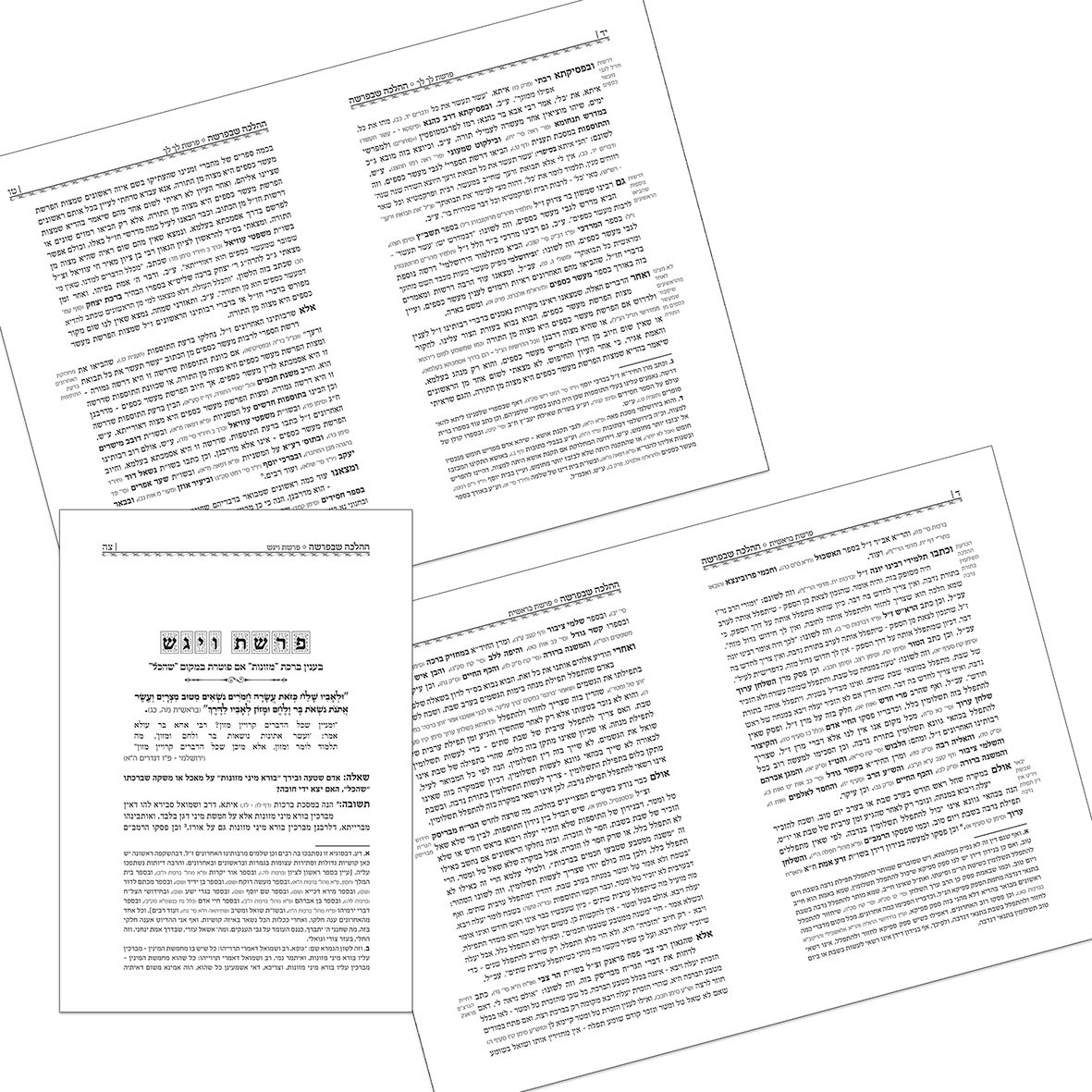 ספר ההלכה שבפרשה_result