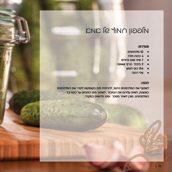 ספר מתכונים טעמים מהלב36.png
