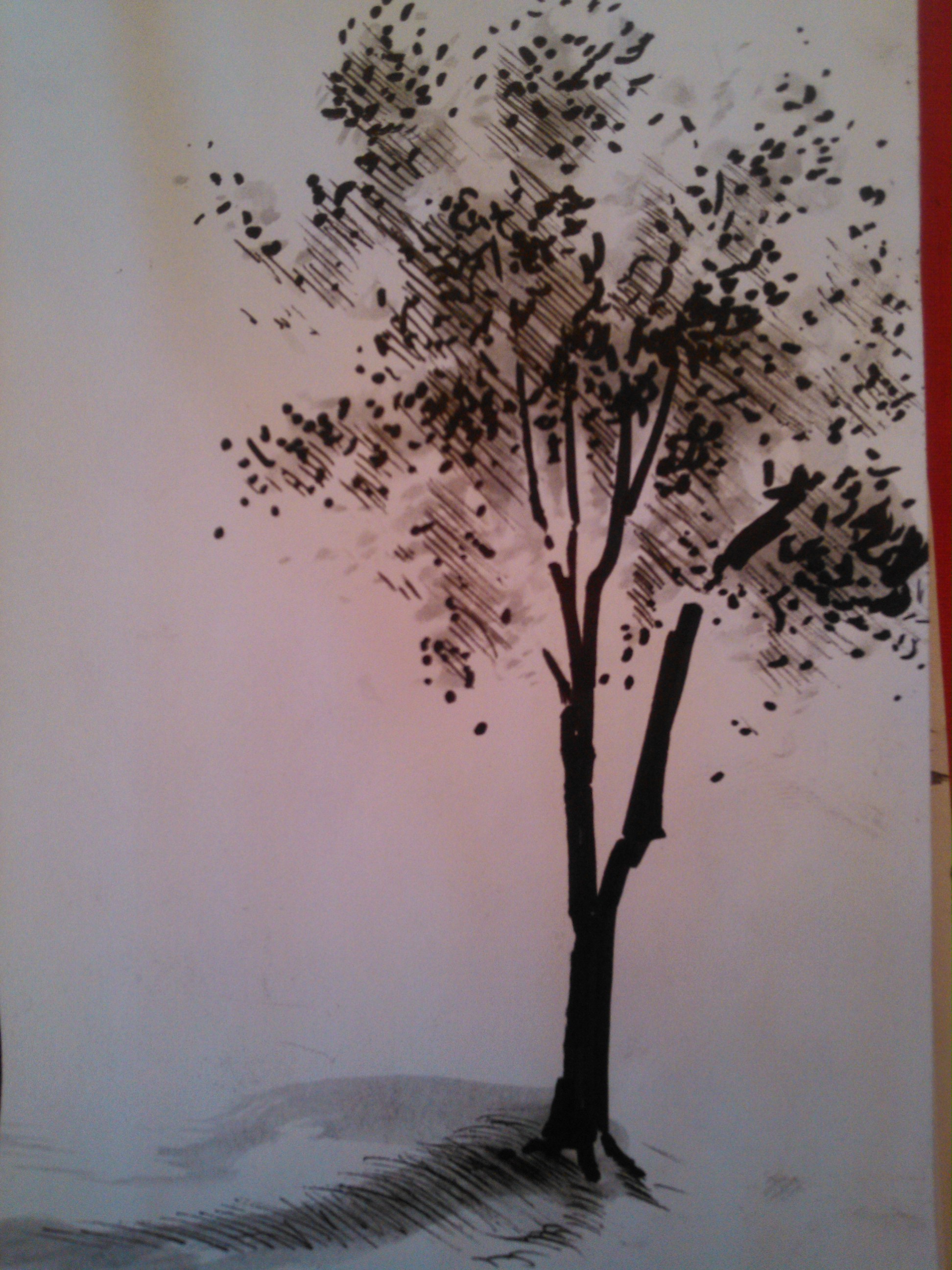 סקיצה של עץ מהראש באוטובוס  עט+פן בראש (Pen brush) אפור בהיר