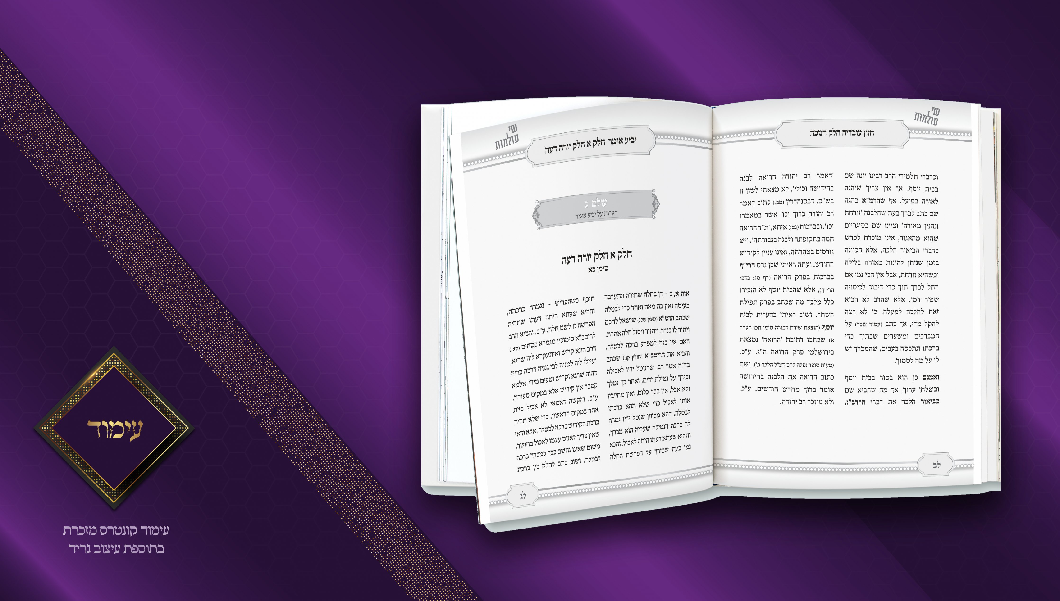 עבודות עימוד FINISH11.jpg