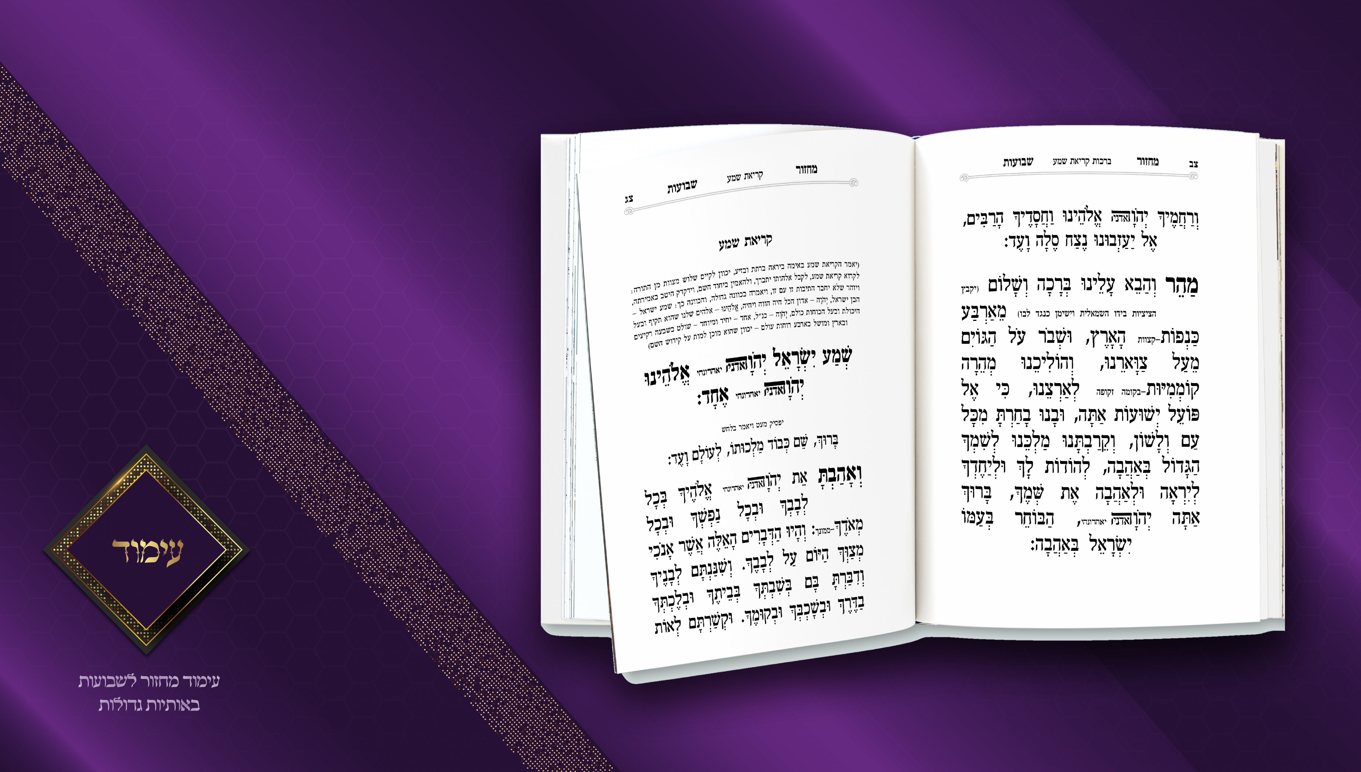 עבודות עימוד FINISH6.jpg