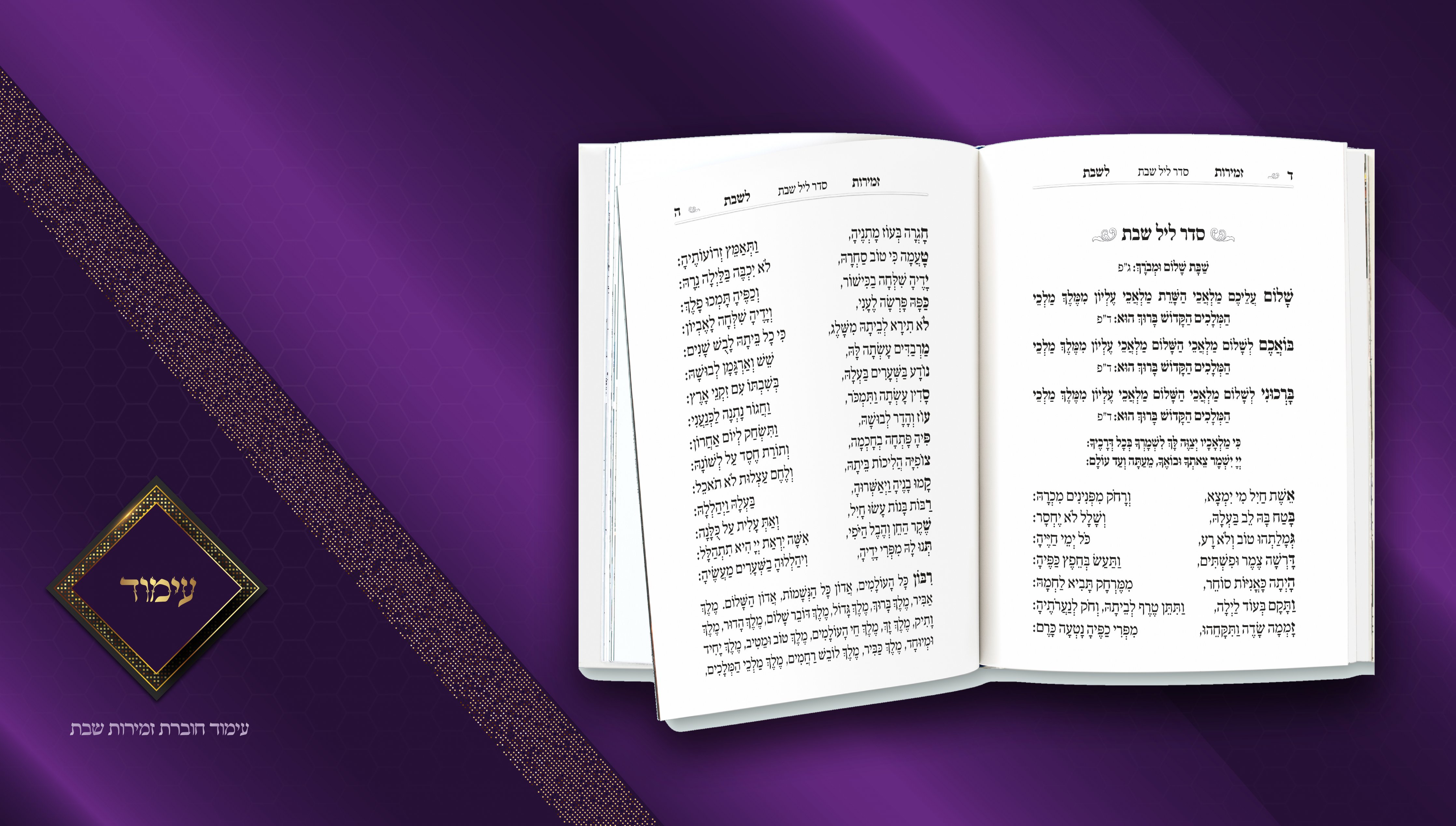 עבודות עימוד FINISH7.jpg