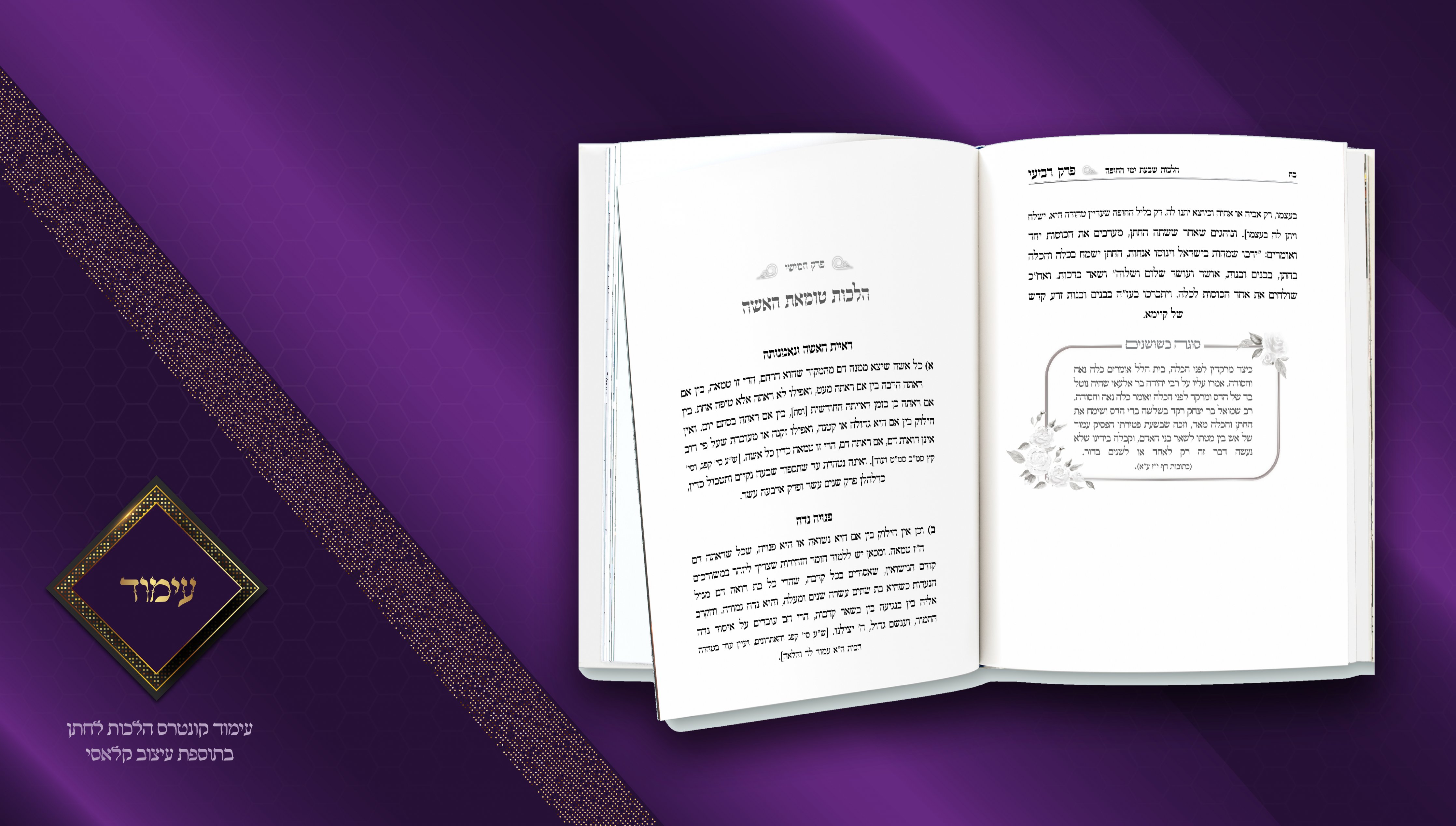 עבודות עימוד FINISH9.jpg