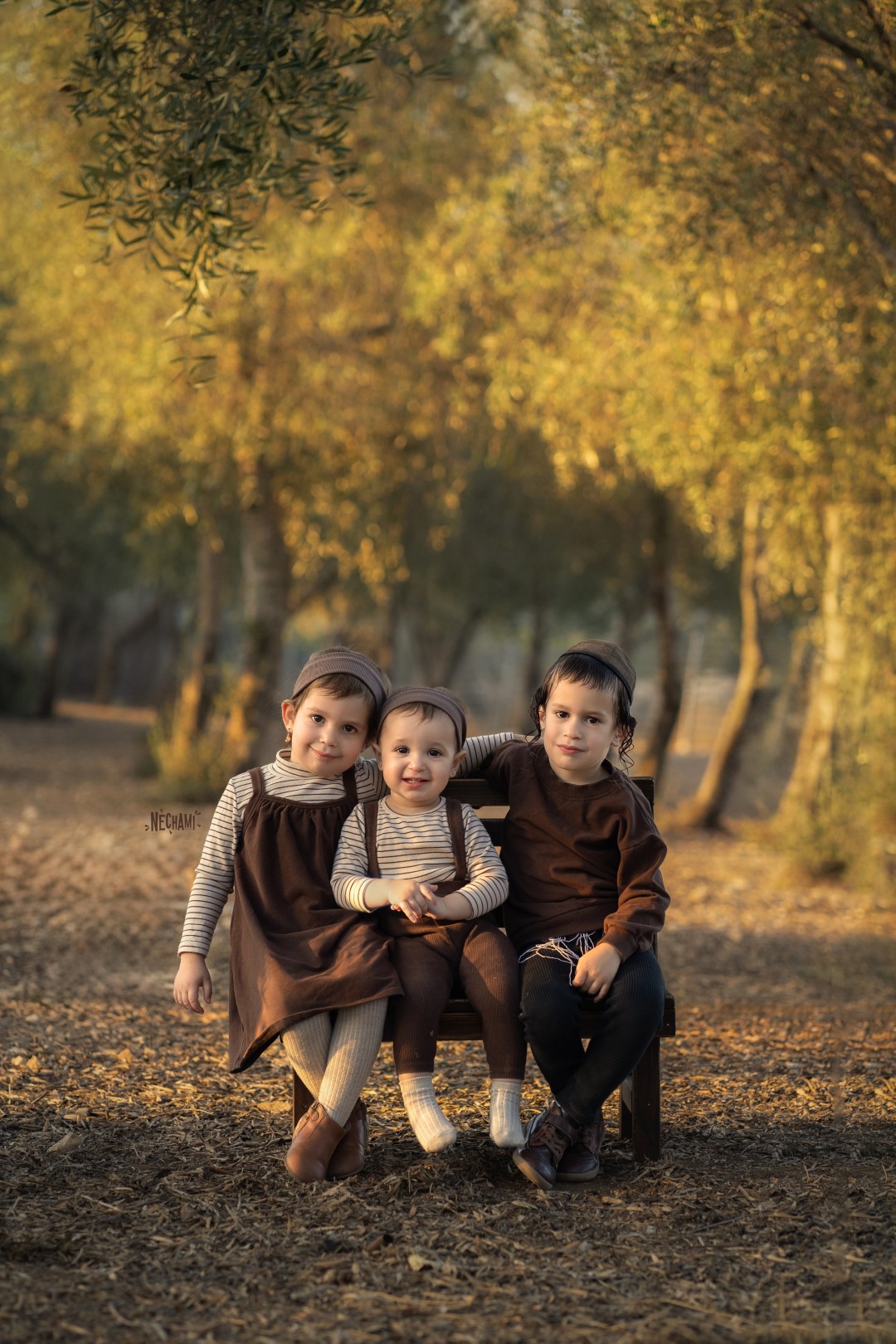 עדכעדע (Large).jpg