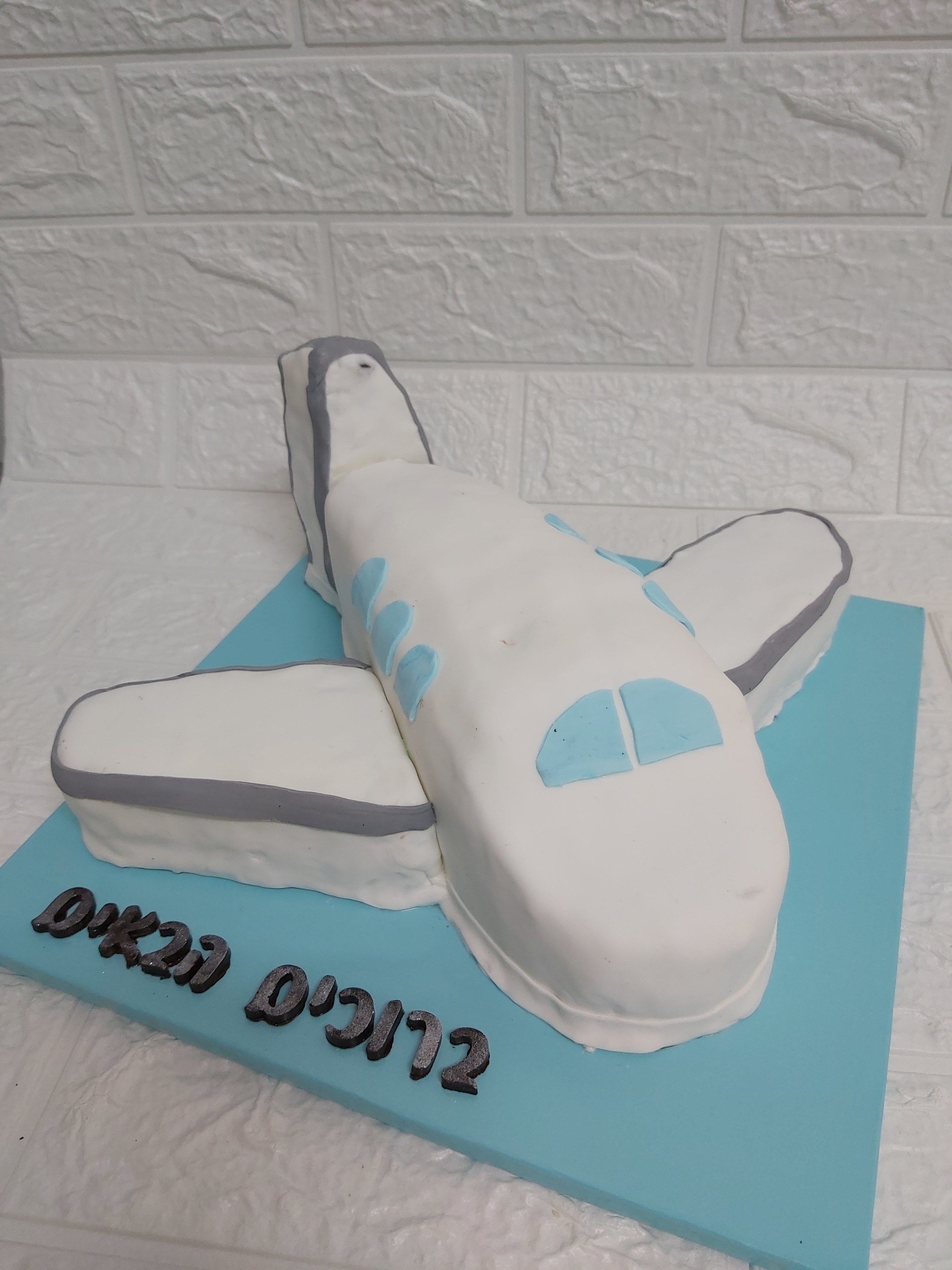 עוגת מטוס.jpg