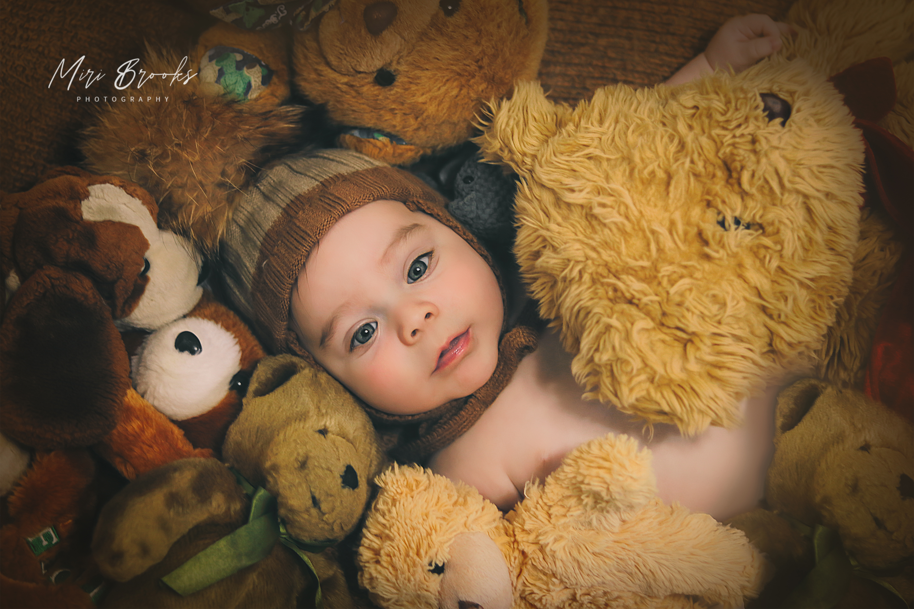 עטוף בדובים