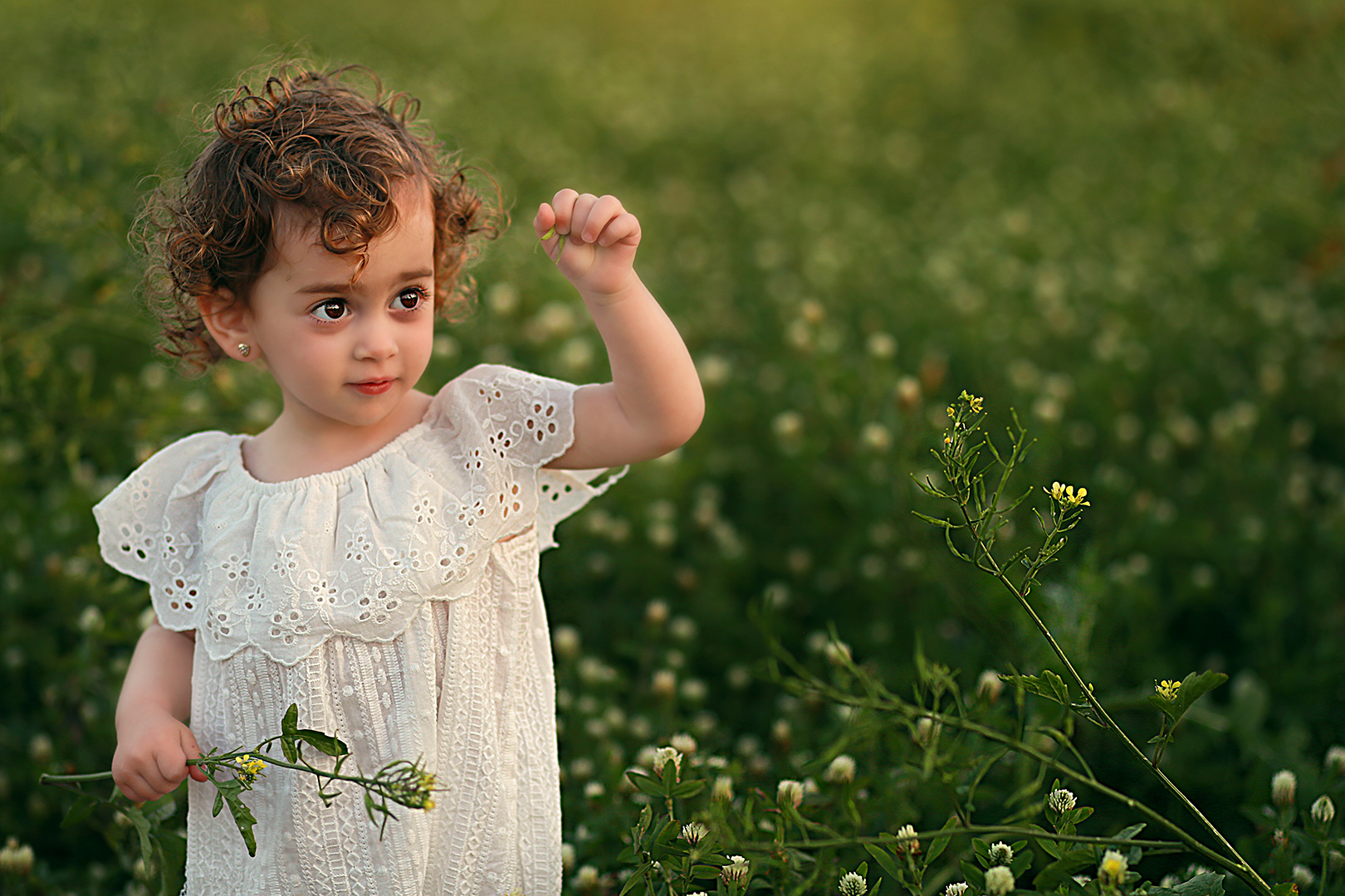 עיבוד נוסף ציפי ופרחים copy מוקטן.jpg