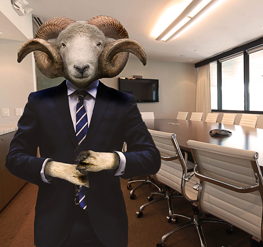 עיבוד תמונה Sheepbiz