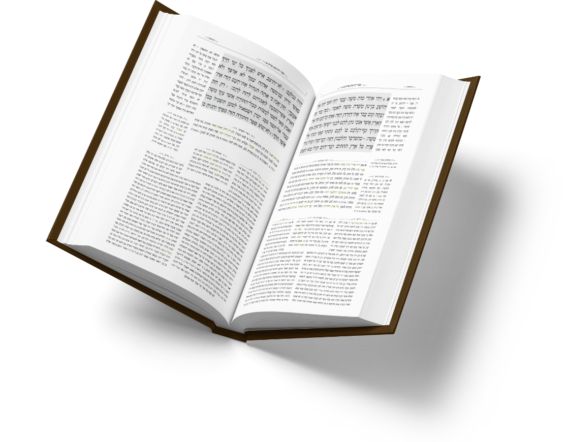 עימוד ברב טקסט אלחנן שלוש