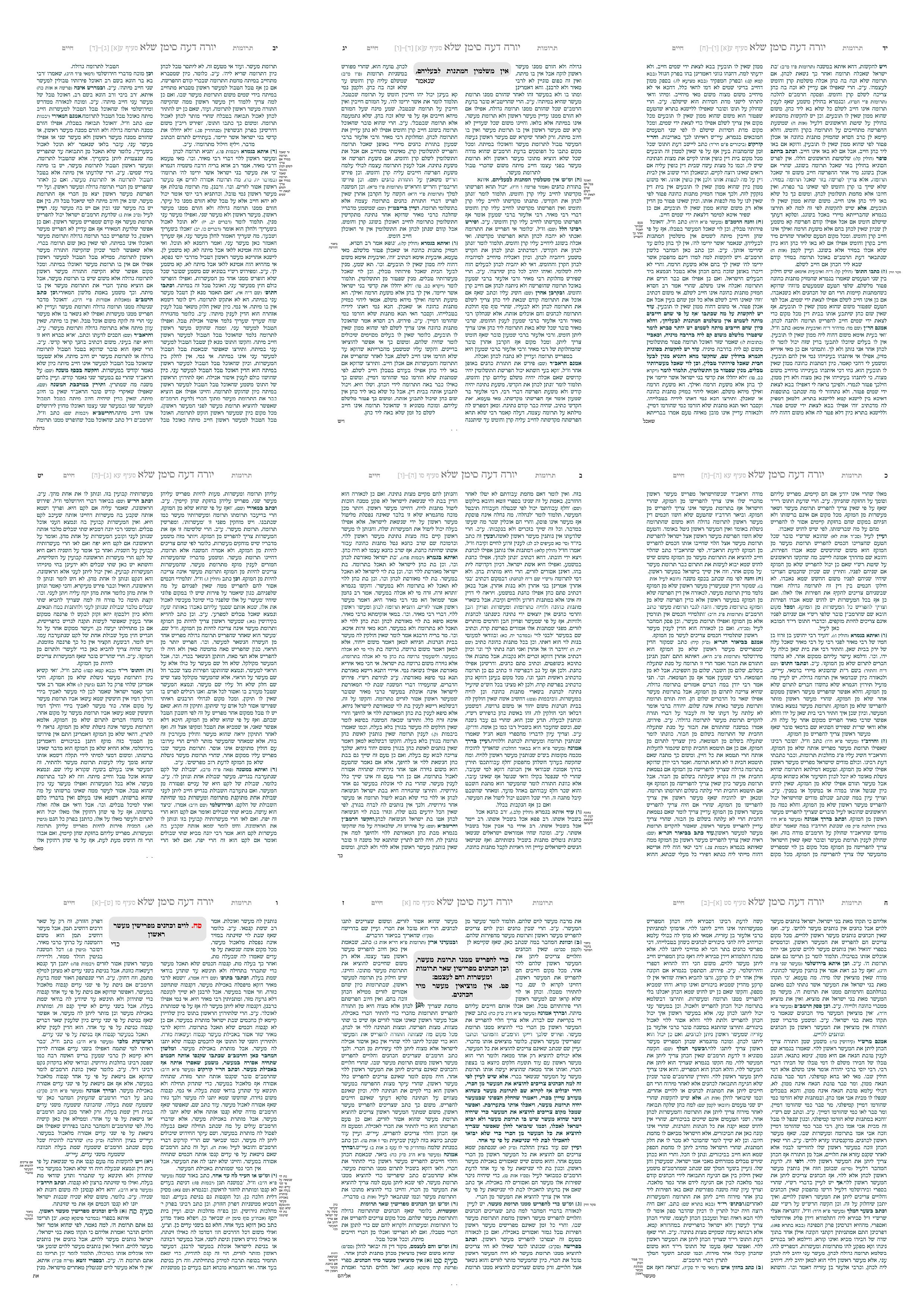 עימוד ברב טקסט עם ברך.jpg