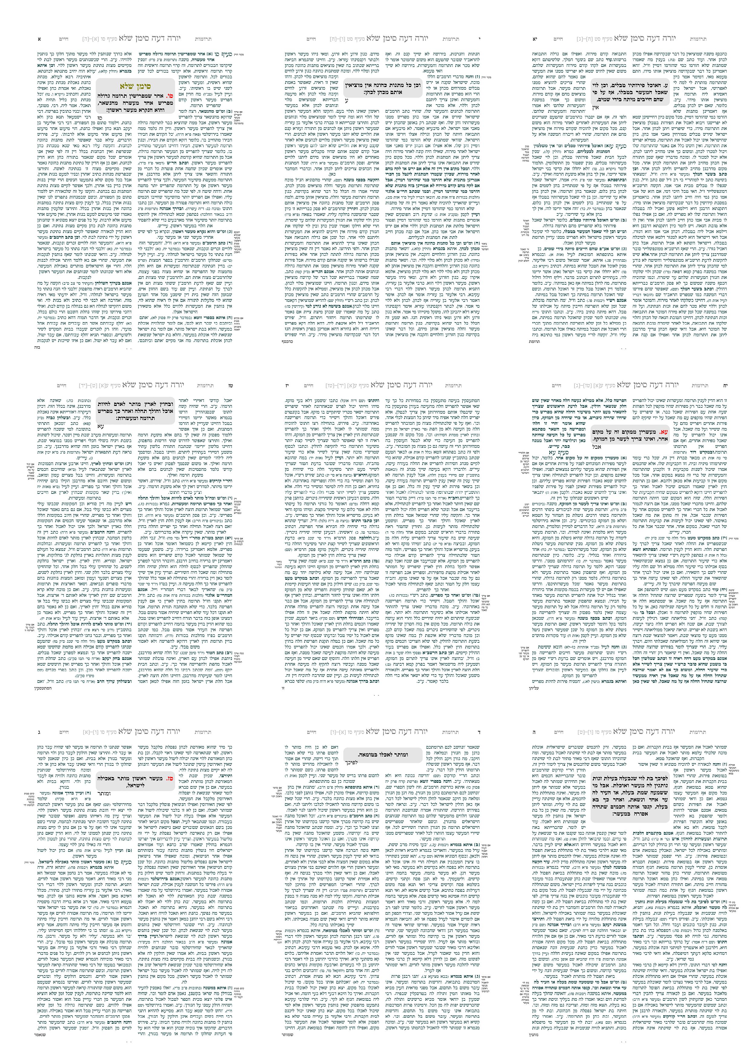 עימוד ברב טקסט עם ברך2.jpg