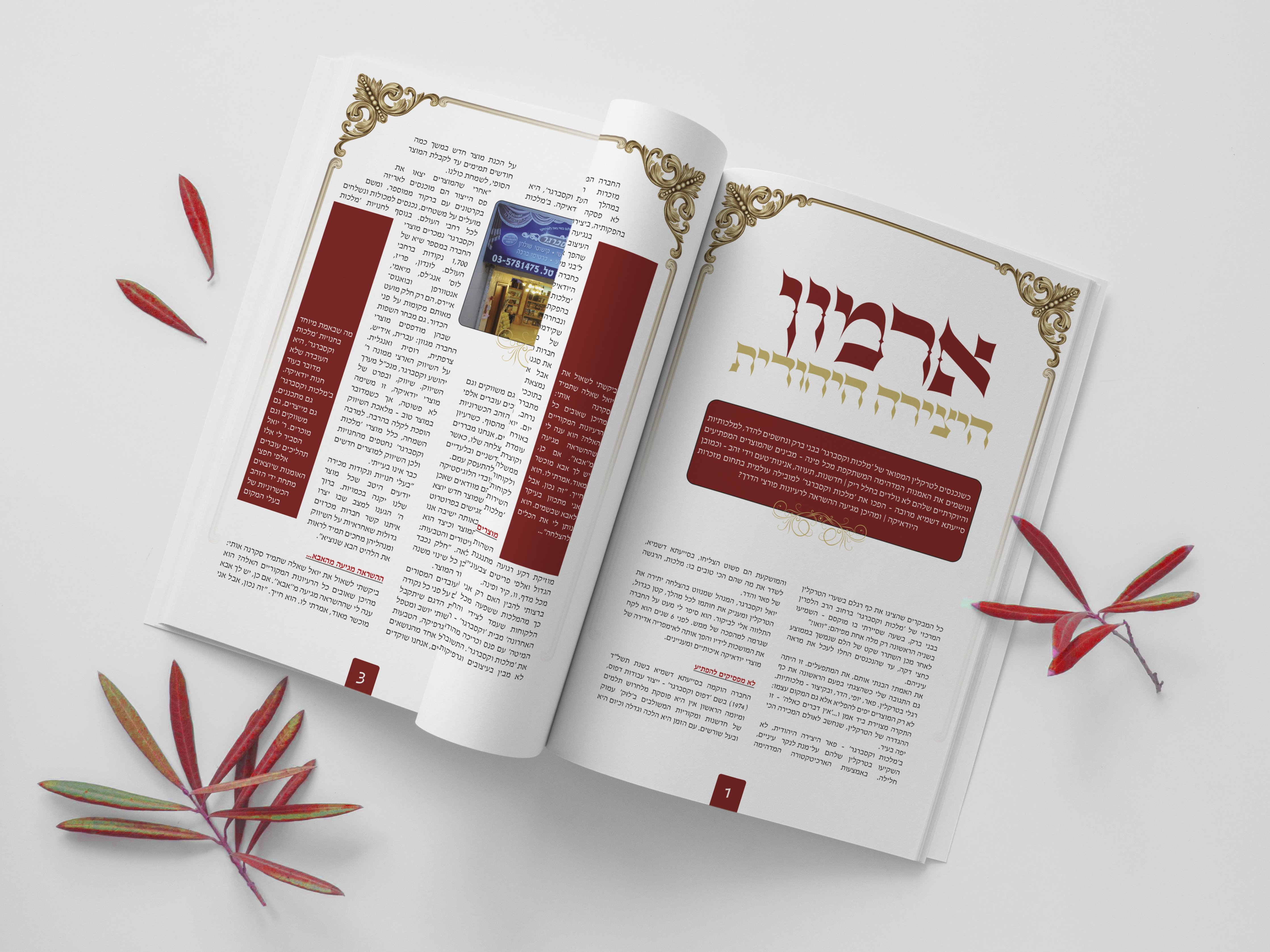 עימוד כתבה ארמון היצירה היהודית