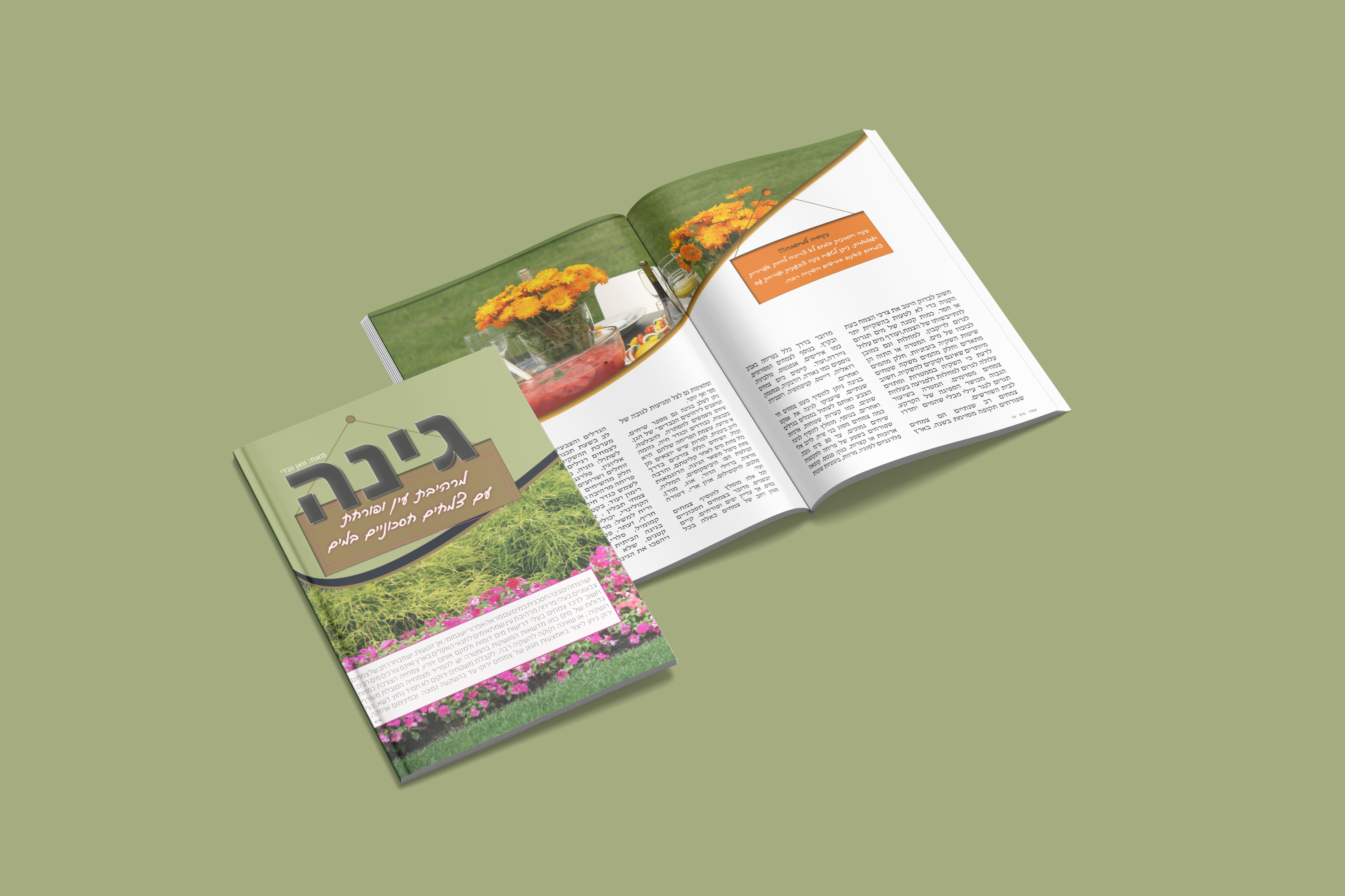 עימוד כתבה גינה