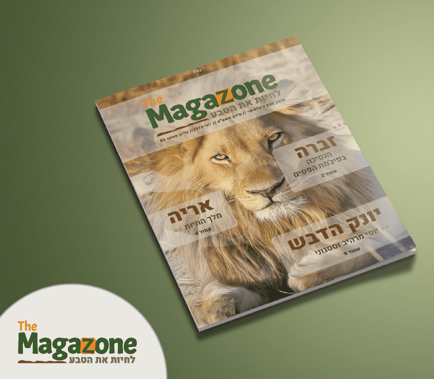 עימוד מגזין טבע ולוגו.PNG