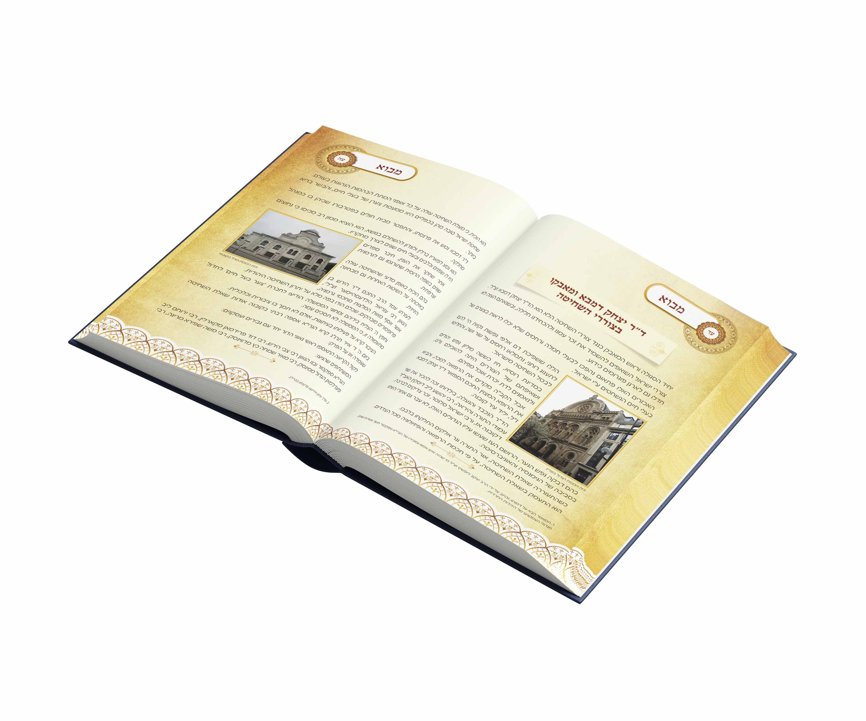 עימוד ספר בשילוב תמונות