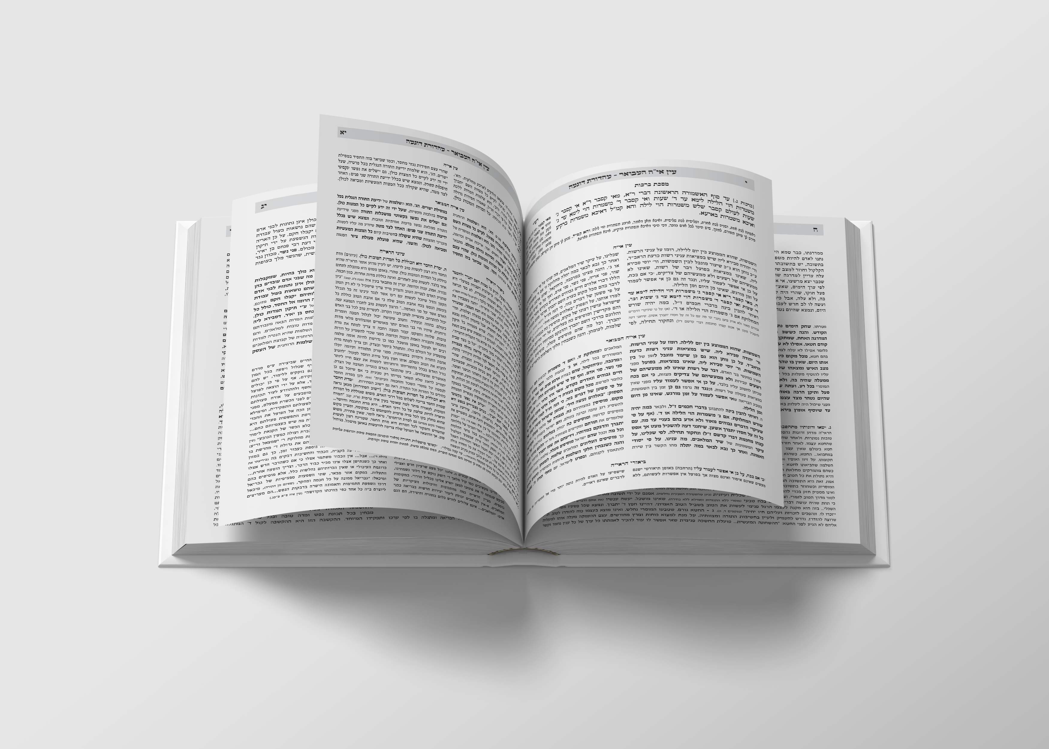 עין אי''ה המבואר-הדמיה.png