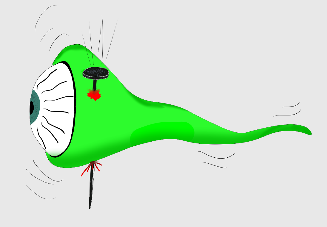 עין עם מסמר