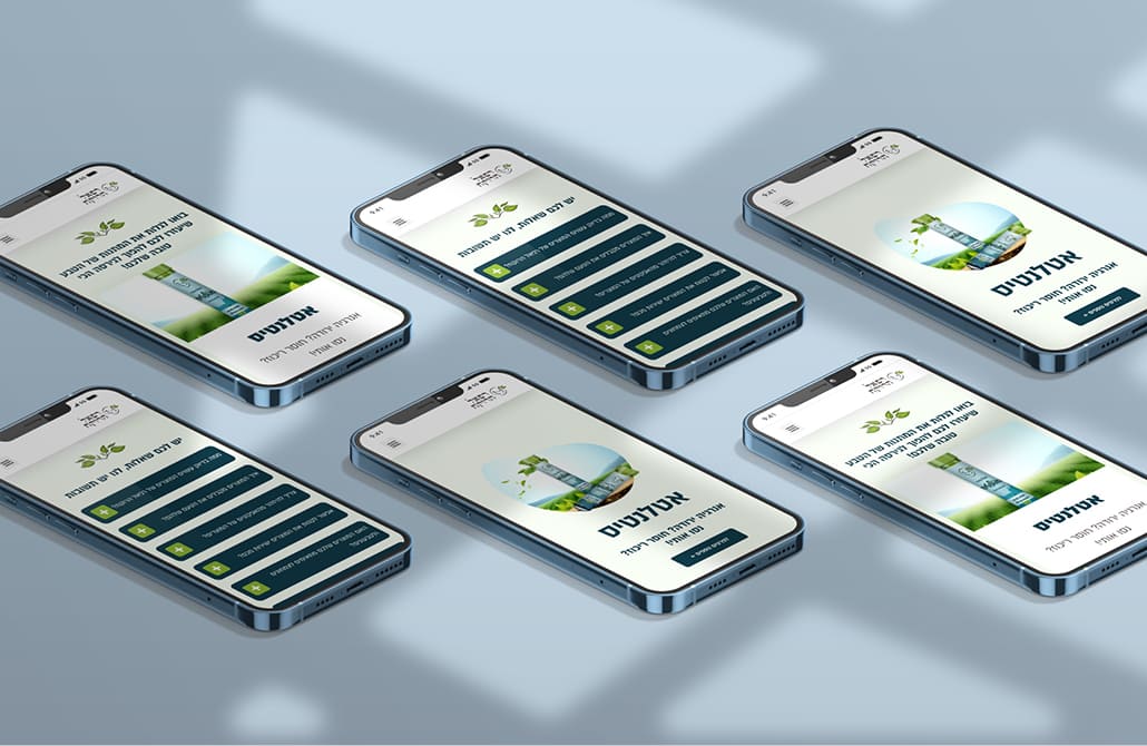 עיצוב אתר אינטרנט רפאל הרוקח