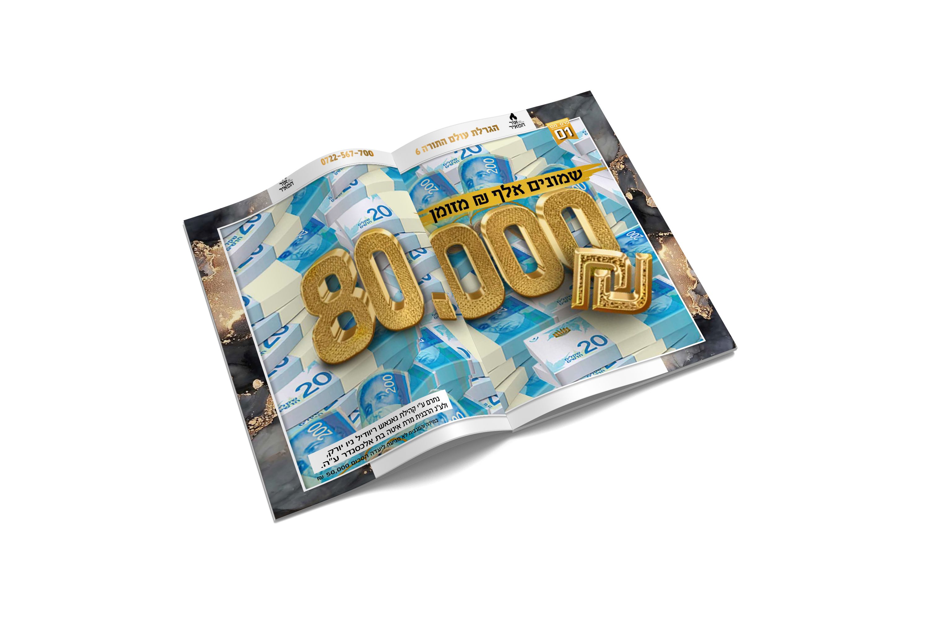 עיצוב ועימוד קטלוג מכירה סינית אורה מאיר.jpg