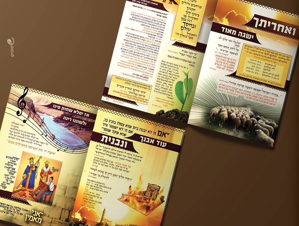 עיצוב כתבה_prog19.jpg