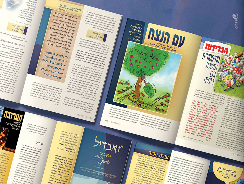 עיצוב כתבה_prog21.jpg