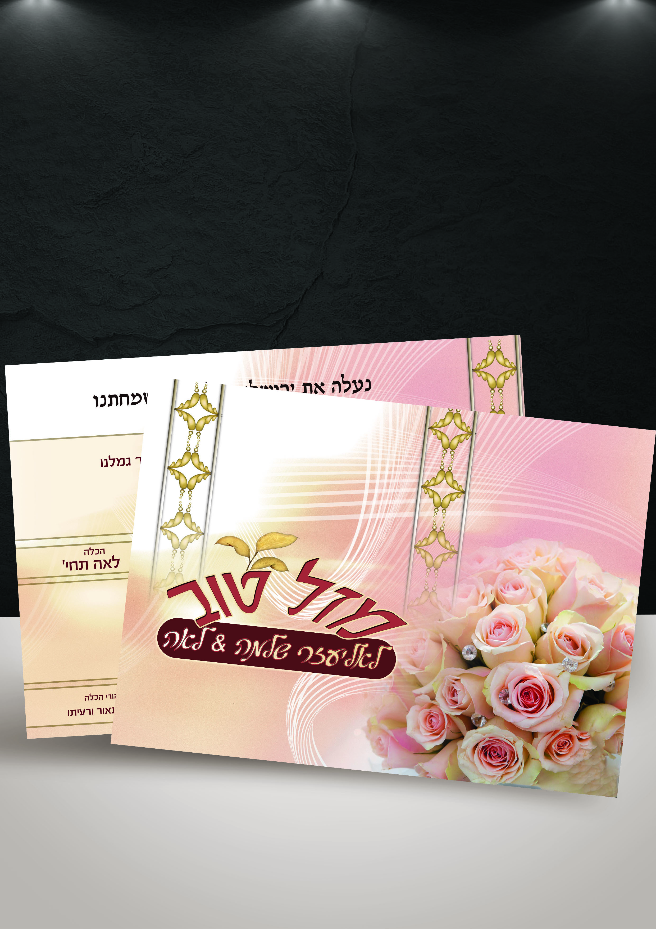 עיצוב לתיק עבודות הזמנה.jpg