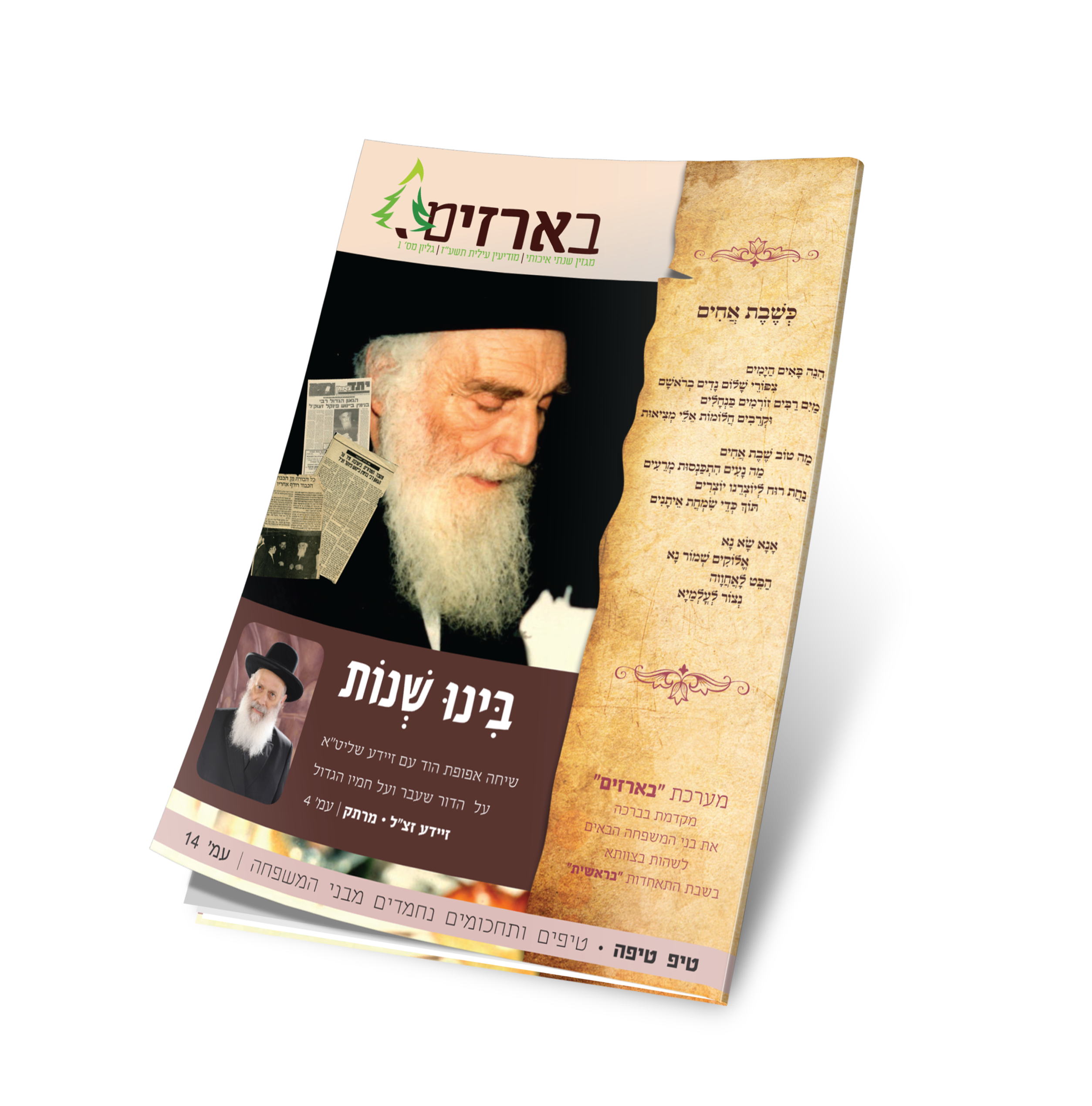 עיצוב מגזין