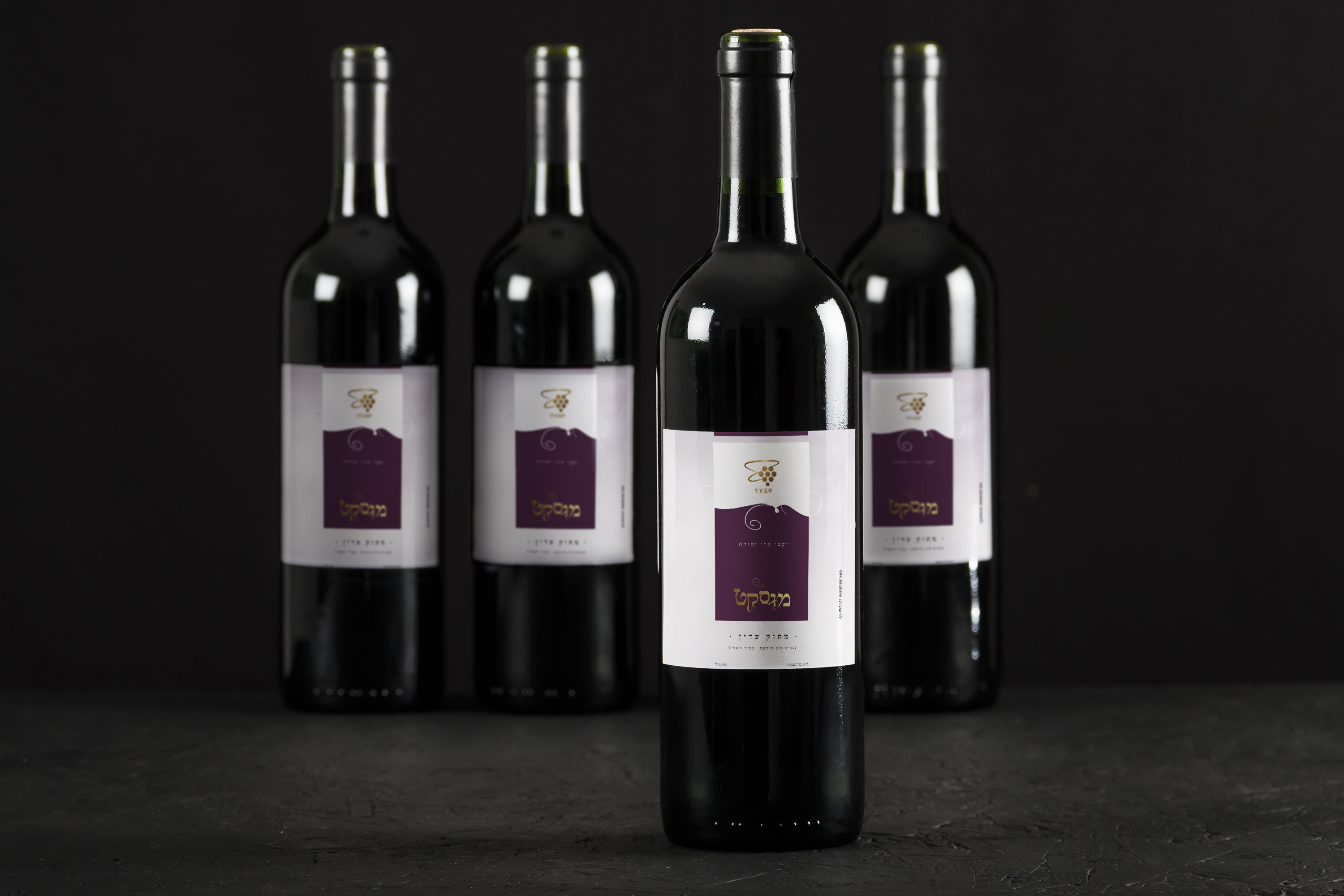 עיצוב ע"י גילי שנור PERFECT