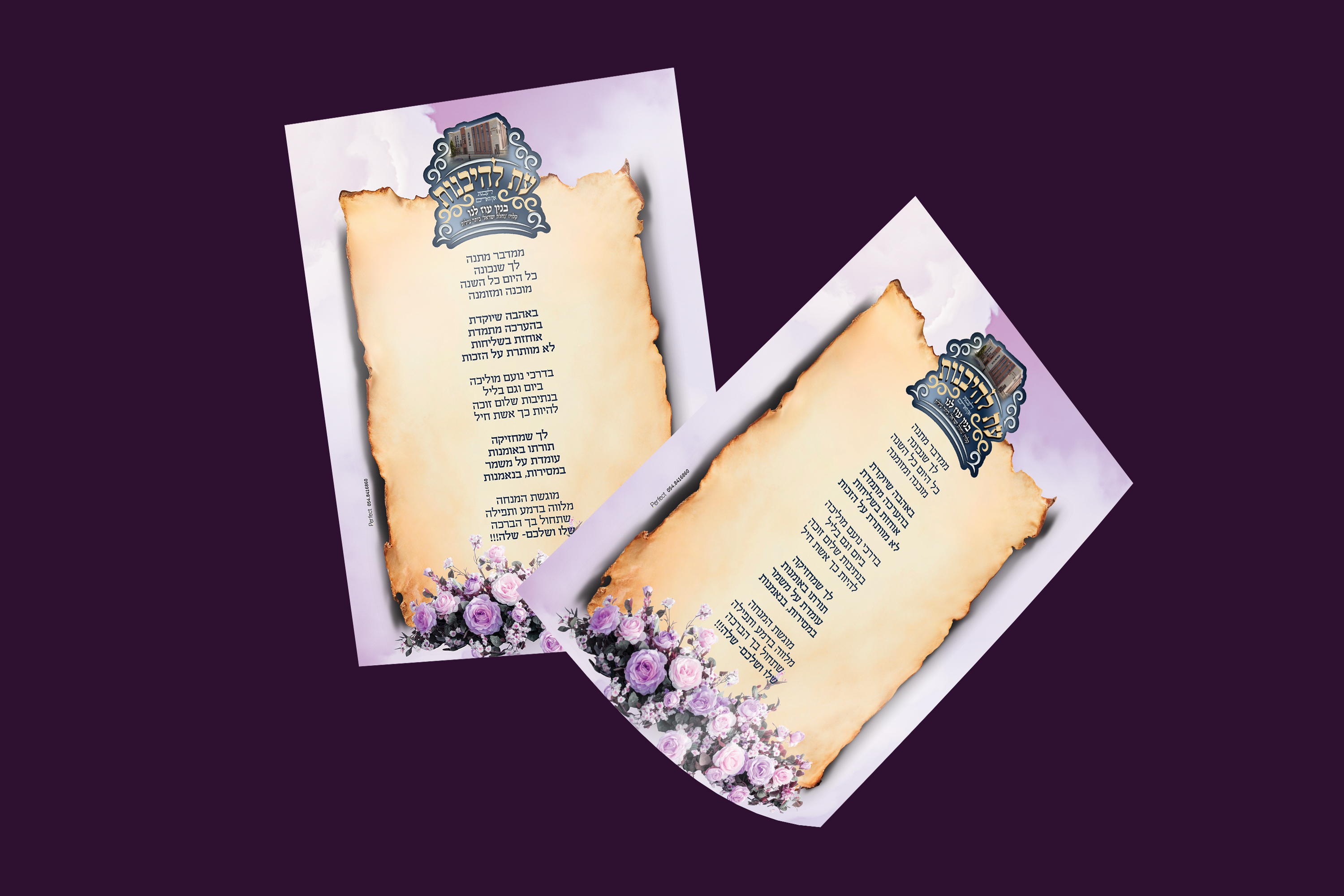 עיצוב ע"י גילי שנור PERFECT