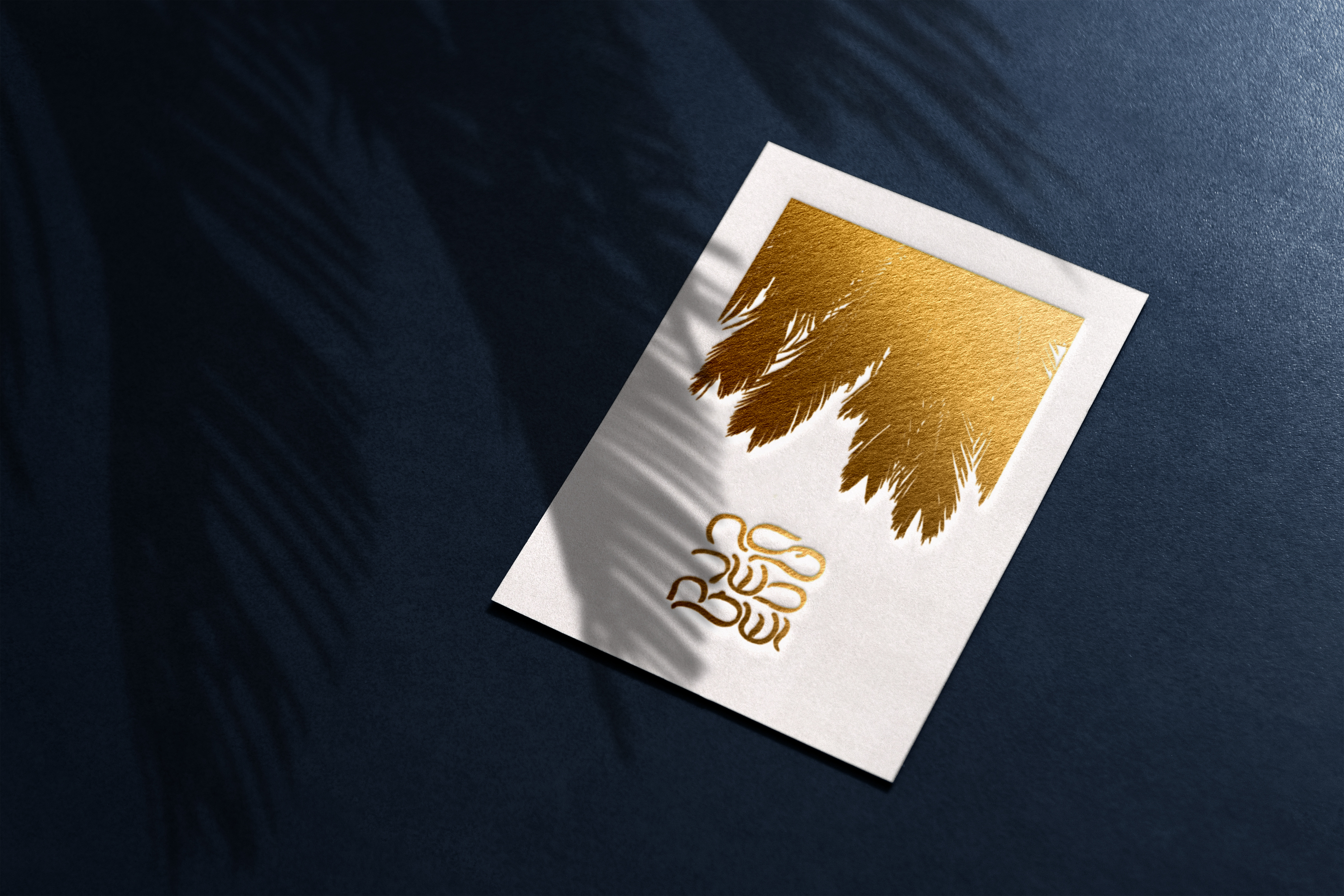 עיצוב ע"י גילי שנור PERFECT