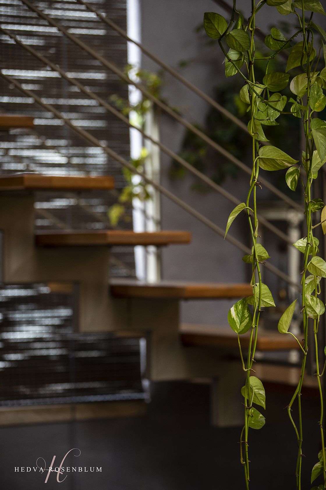 עיצוב פנים הבית של לי  (10).jpg