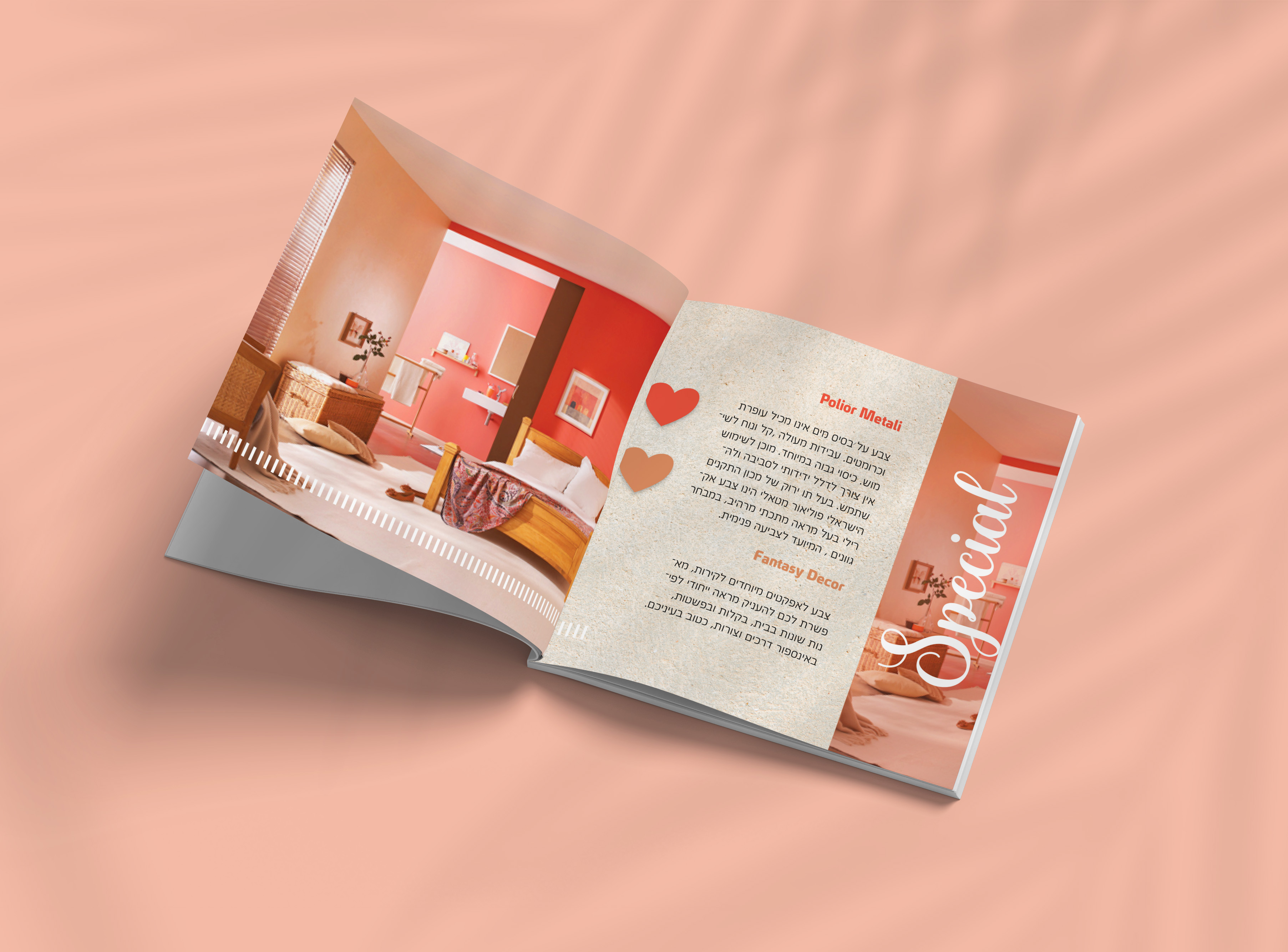 עיצוב קטלוג.jpg