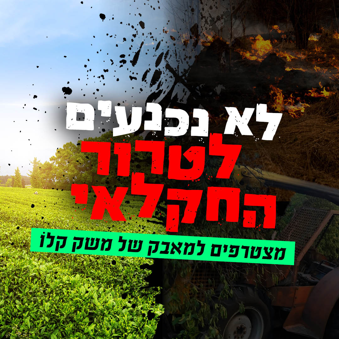 עיצוב קמפיין התרמה