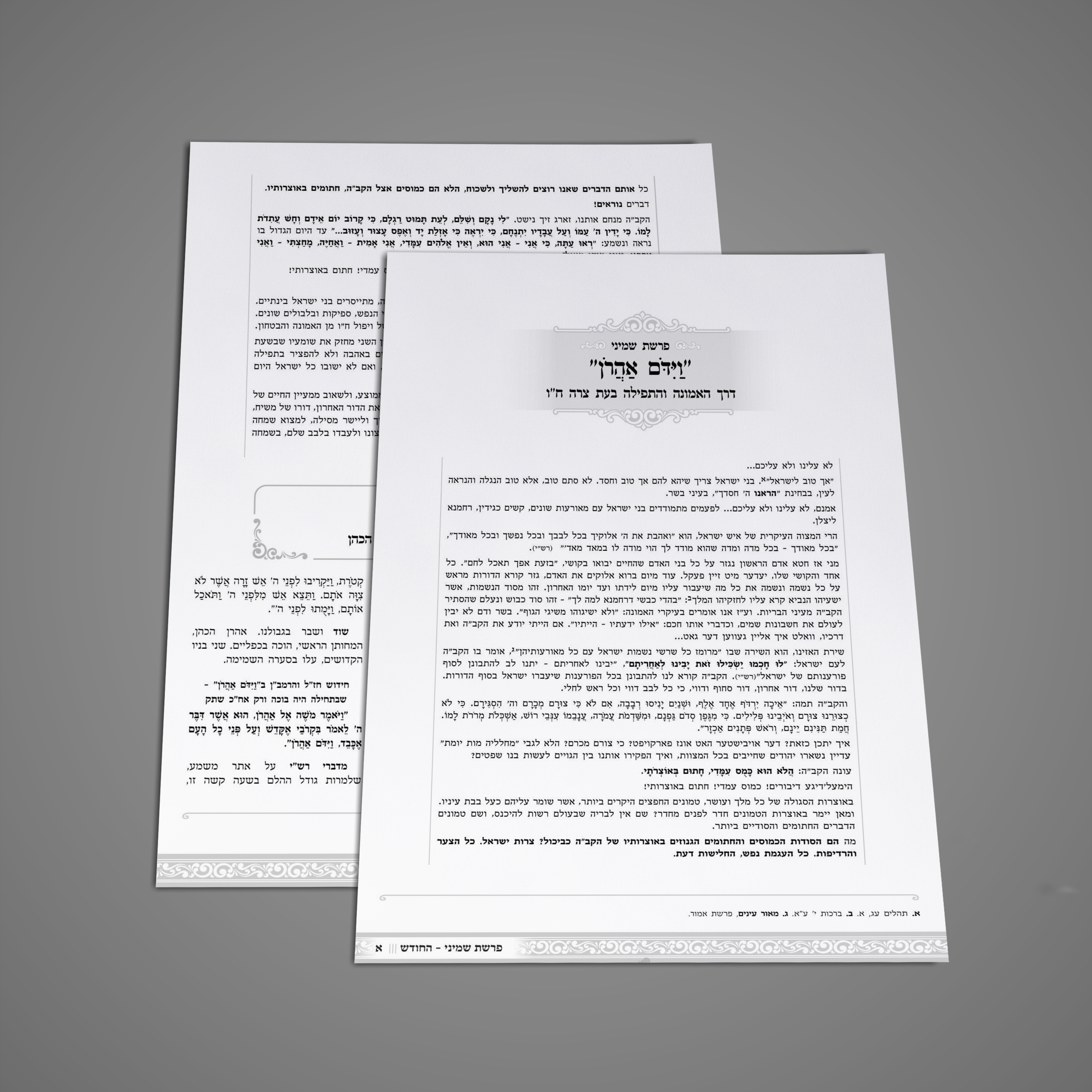 עלון לנדאו.png