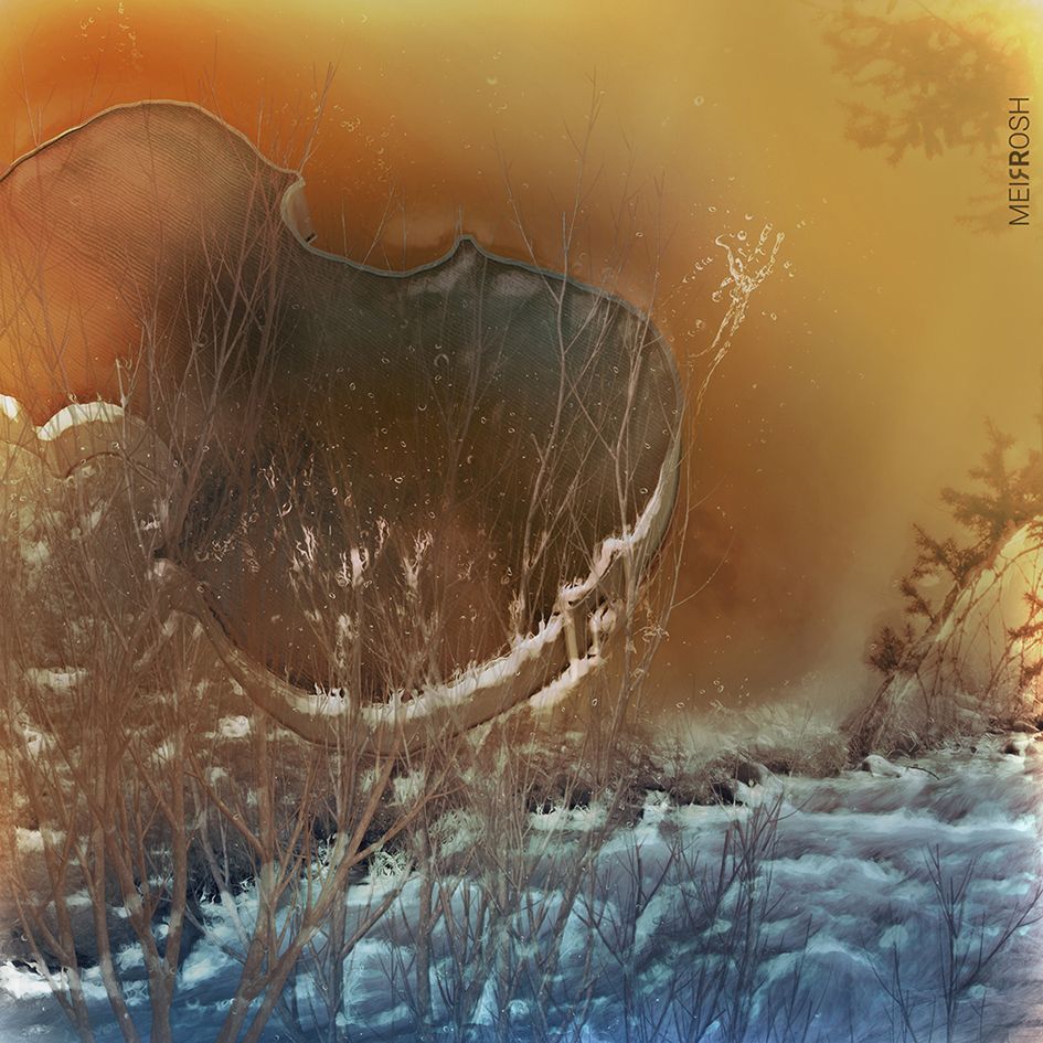 על ערבים בתוכה תלינו כנורתינו MeirRoshDesign4.jpg