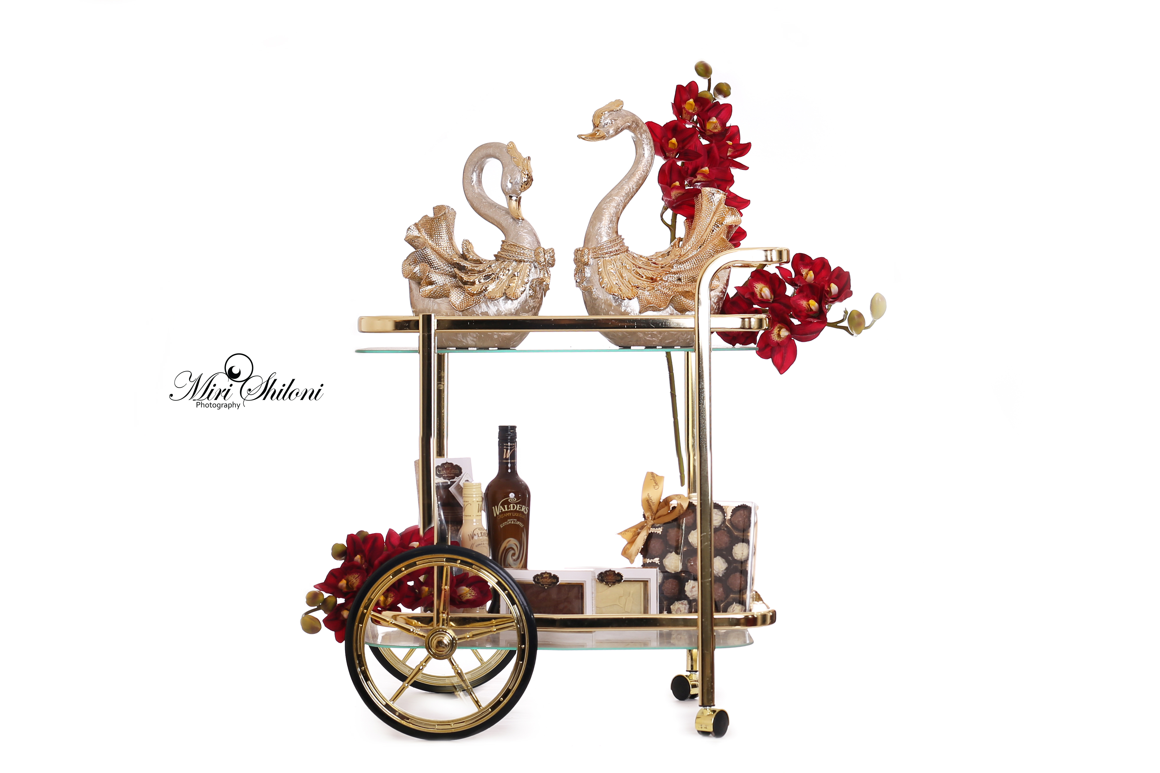 עם לוגו (3).jpg