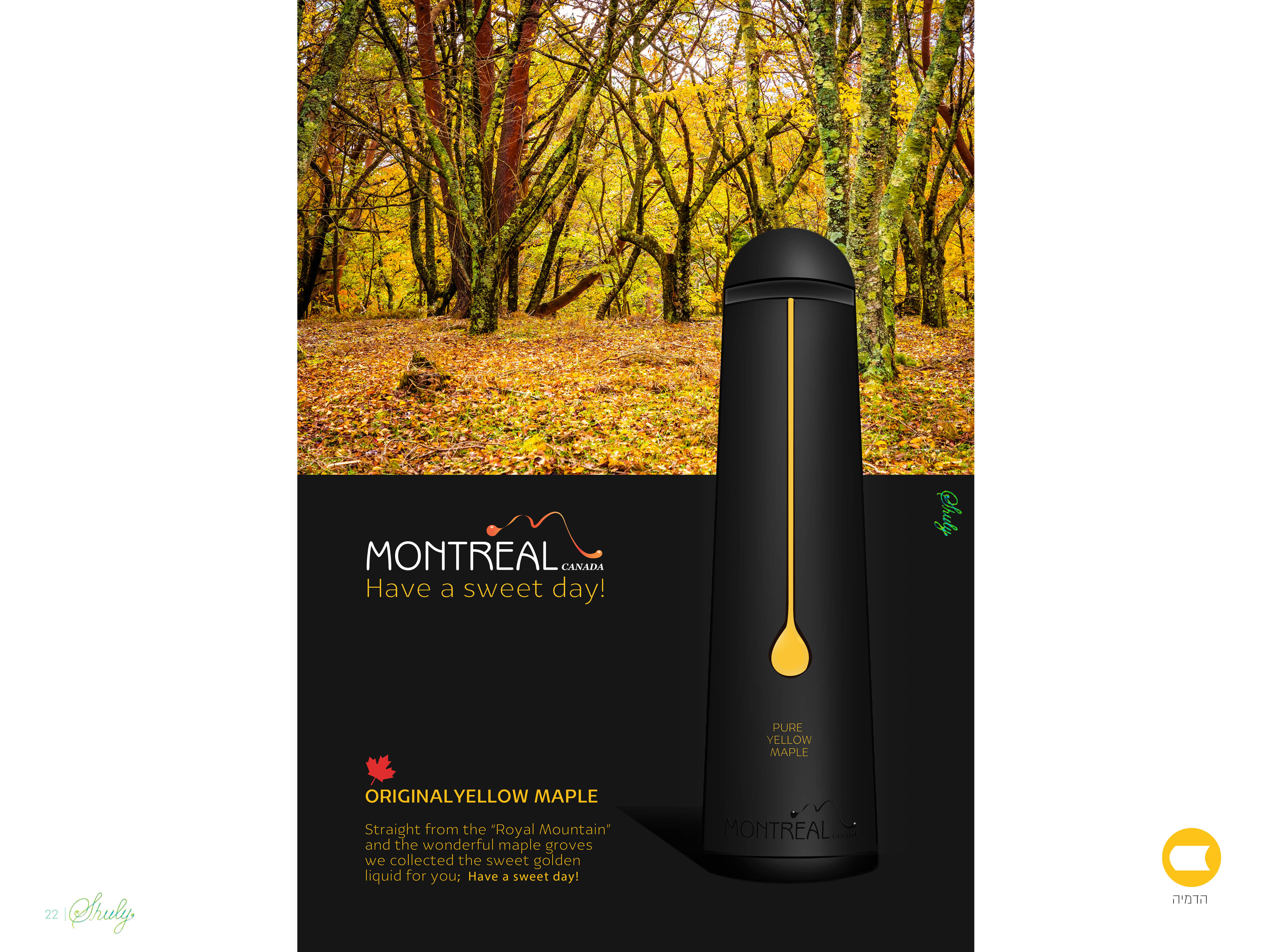 עמודי מצגת אקסטרה מדיום122.jpg